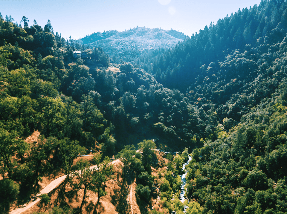 A lush, green mountain valley with a dense forest, a small stream winding through, and hills covered with trees under a clear blue sky.