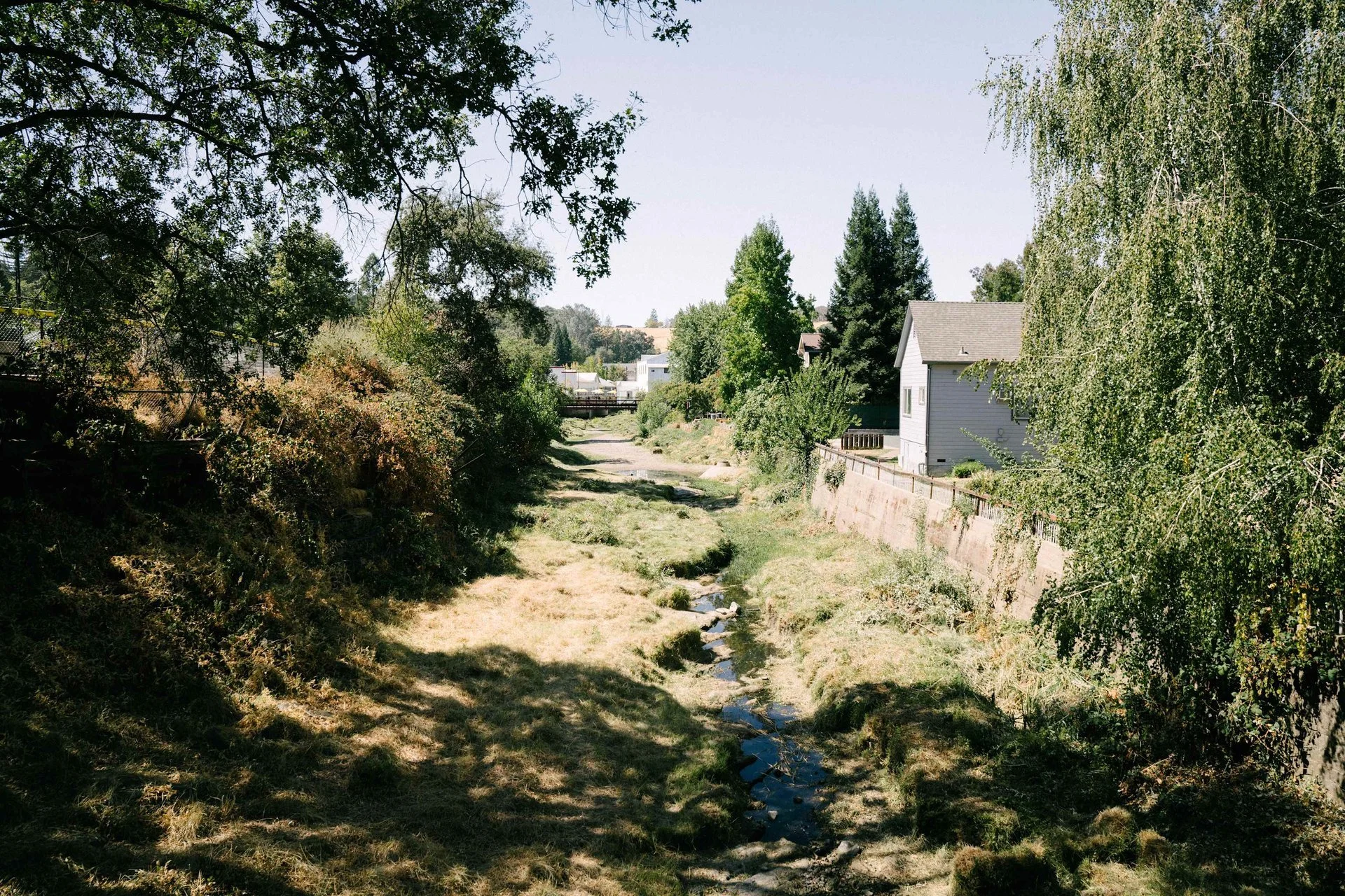 weucb4o6hdrnpkqdefjl (1).jpeg