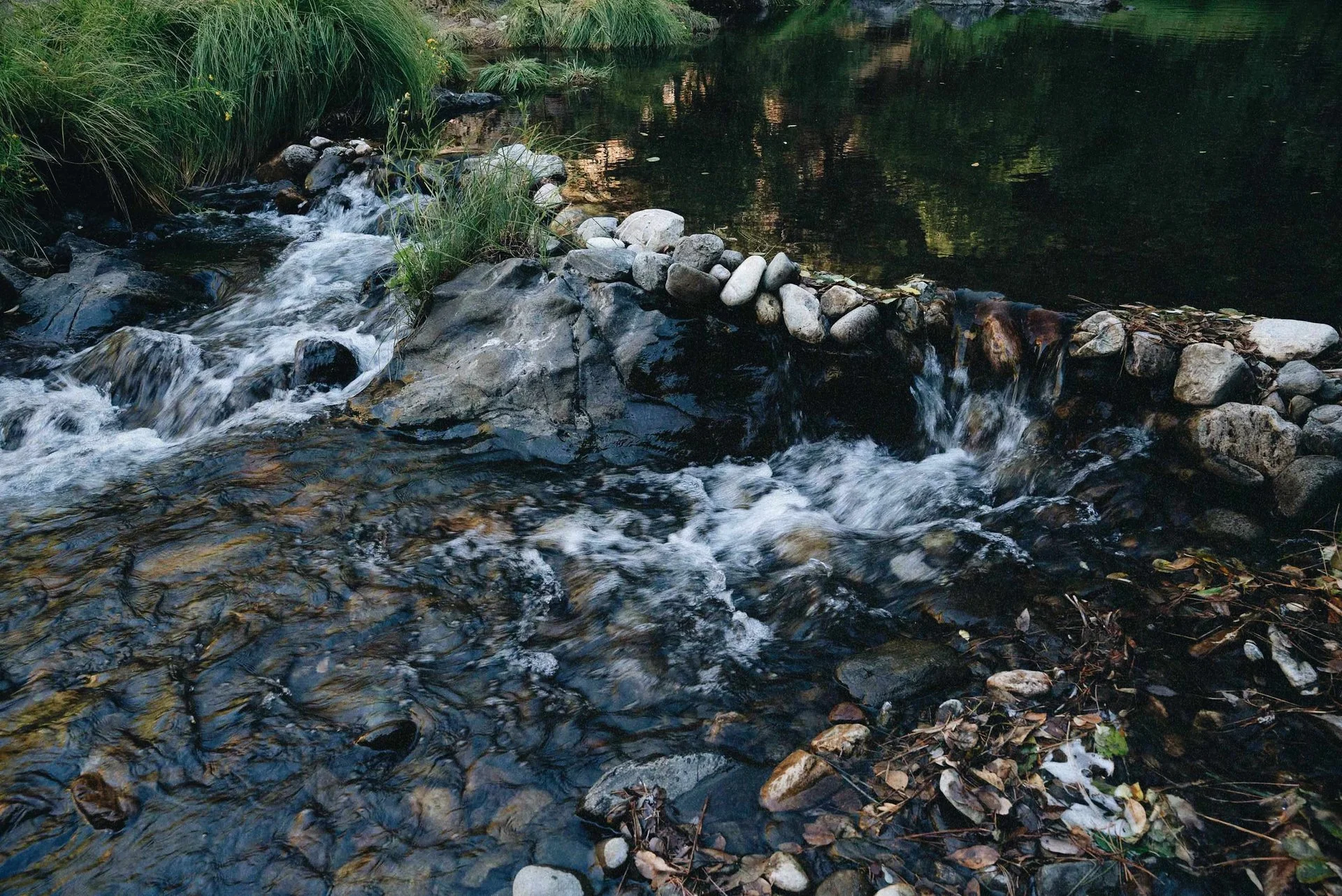 vedbtpgxpv37khjguwe2 (1).jpeg