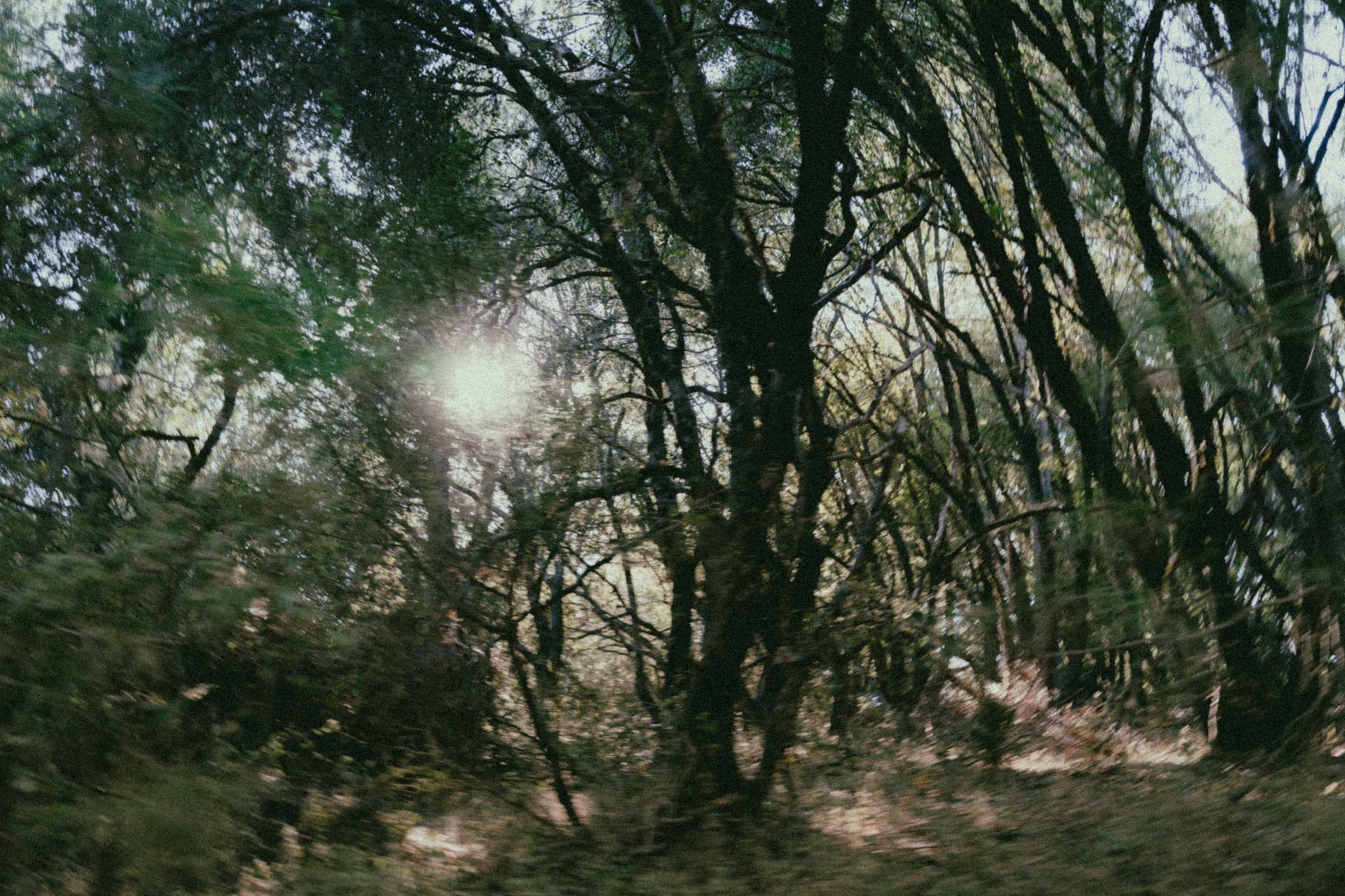 vxvsg9hwpswh4vawuyfz (1).jpeg