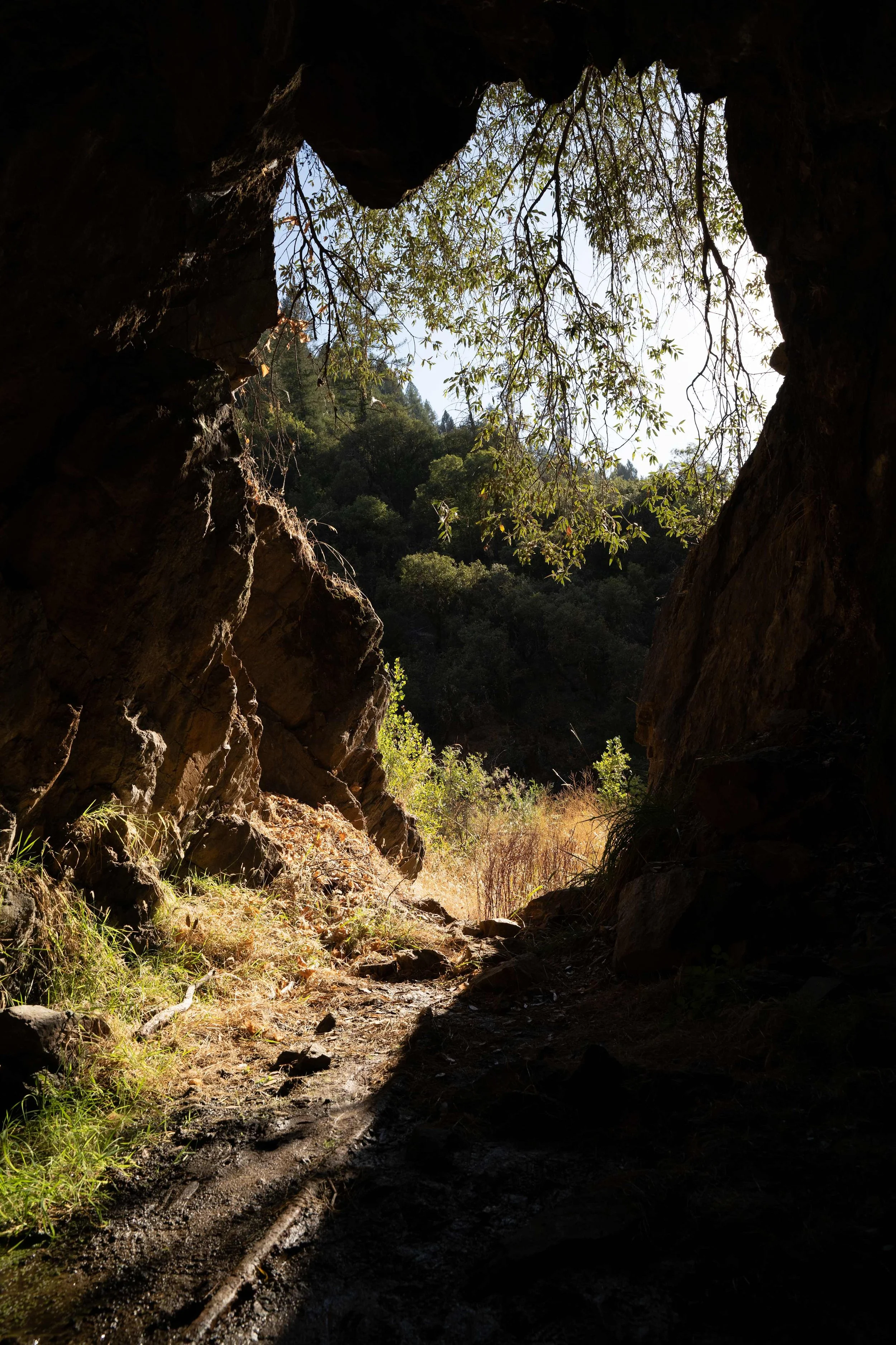 View of a rocky cave opening revealing trees and hillside in the background, with sunlight streaming in.