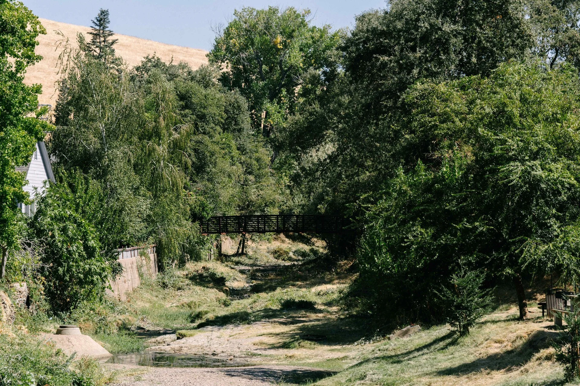 wcv2dibof6p4idnr3yky (1).jpeg