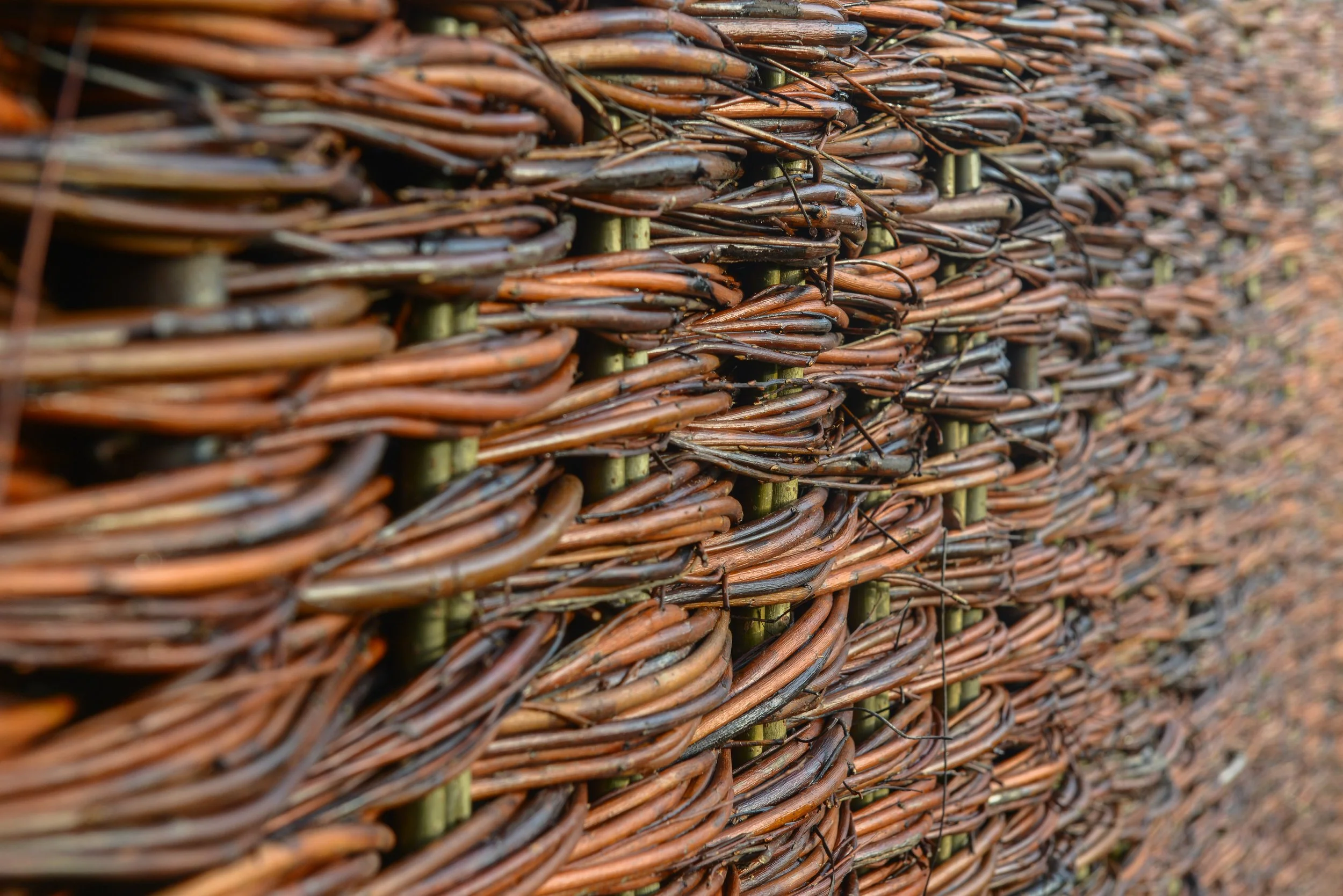 Close-up view of a woven wicker or rattan fence made of intertwined brown branches.