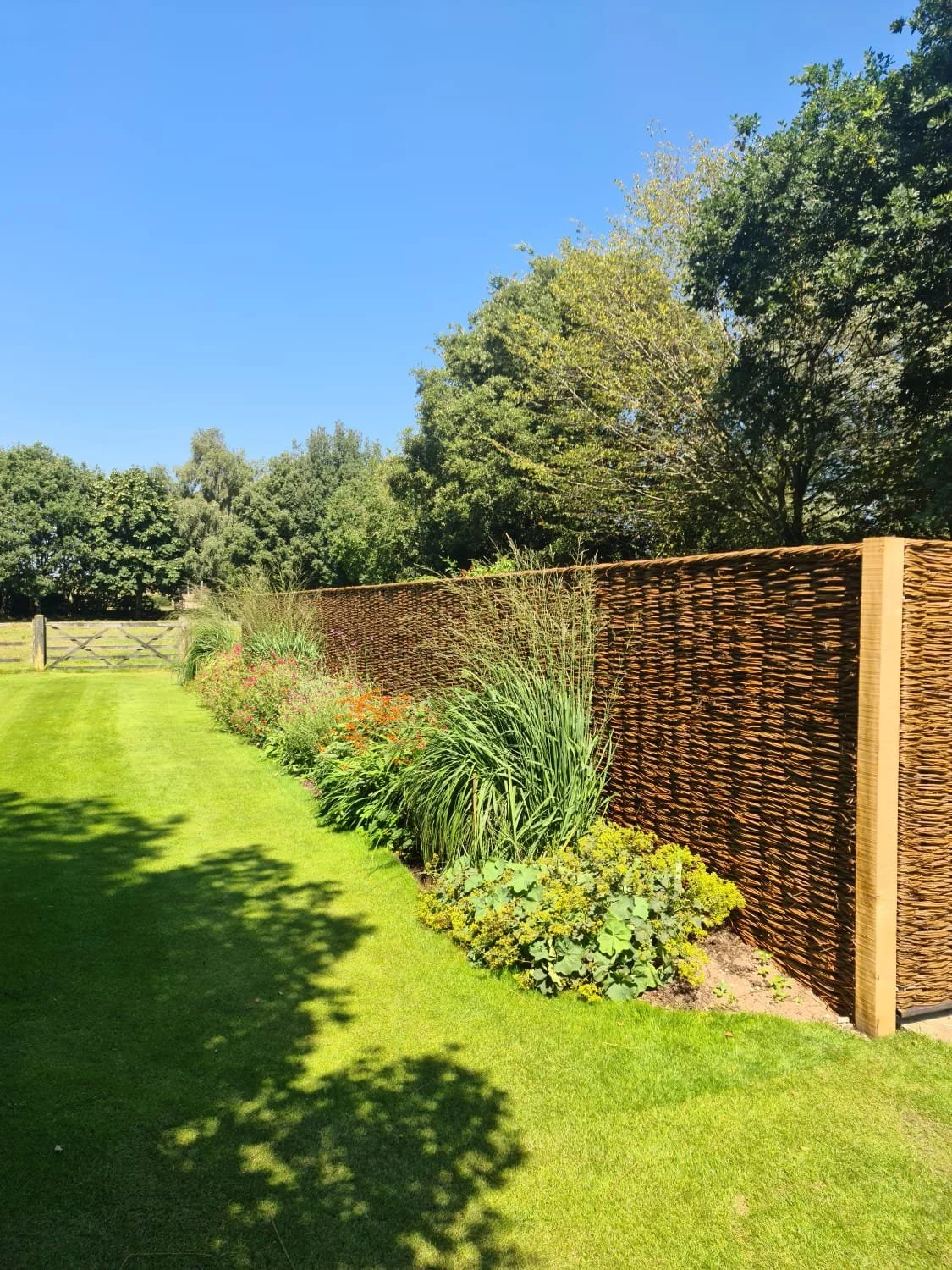 A well-maintained backyard with a lush green lawn, colorful flower bed, and a tall woven wooden fence under a clear blue sky.