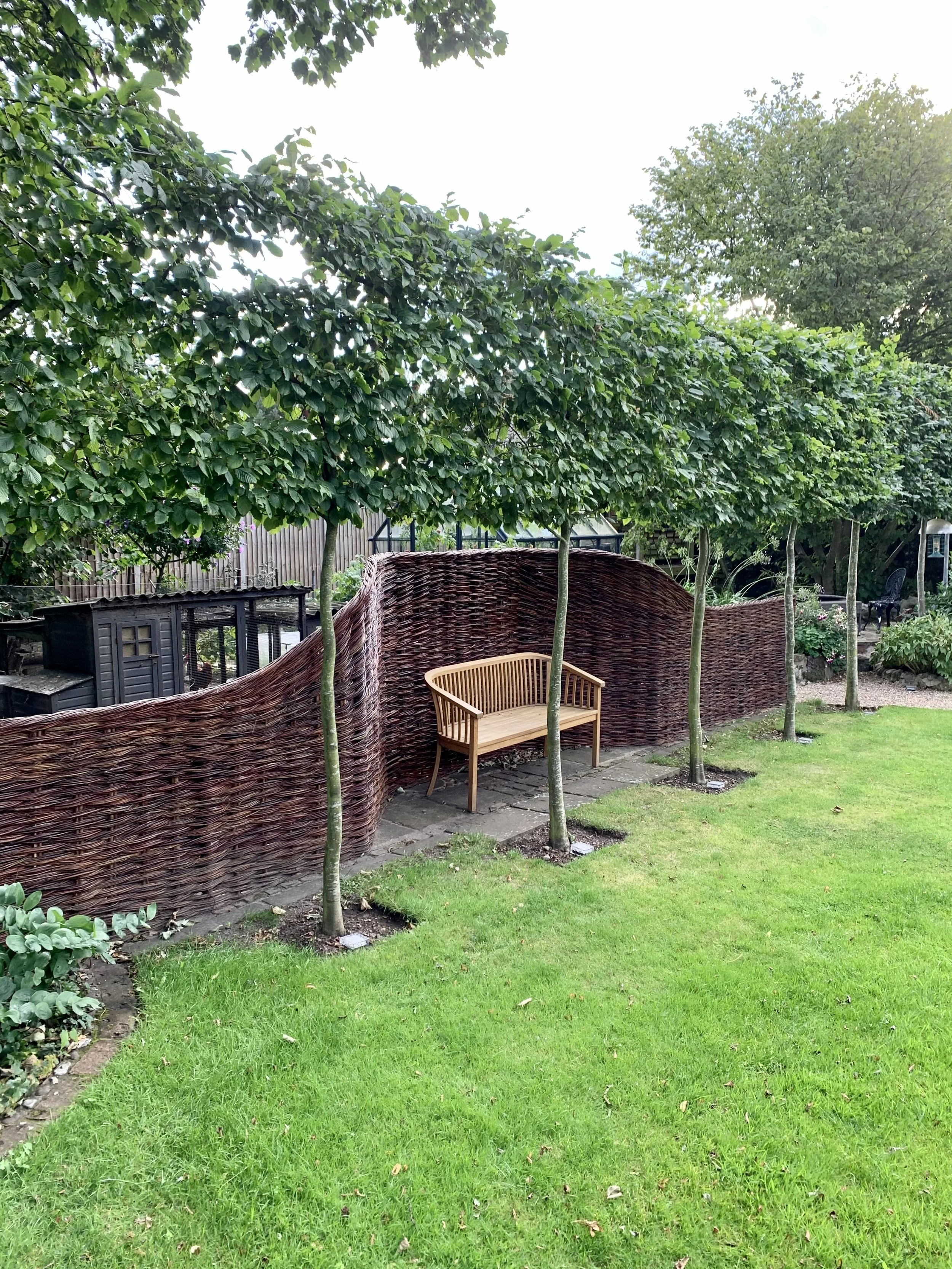 A garden with a curved woven brown fence, a stone pathway, a wooden bench, young trees with green leaves, and a lush green lawn.