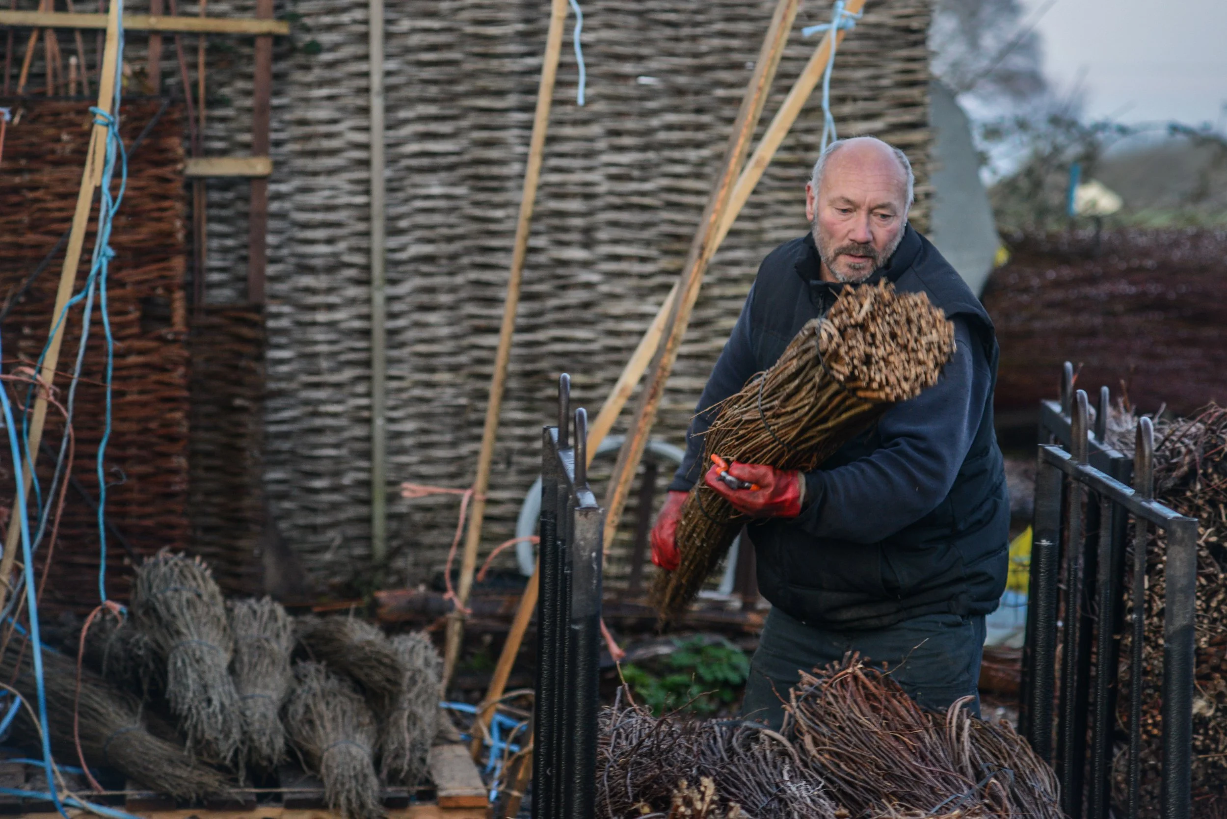 A man with a beard and red gloves holding a bundle of sticks or branches outdoors near a woven fence, with various bundles of sticks on the ground around him.