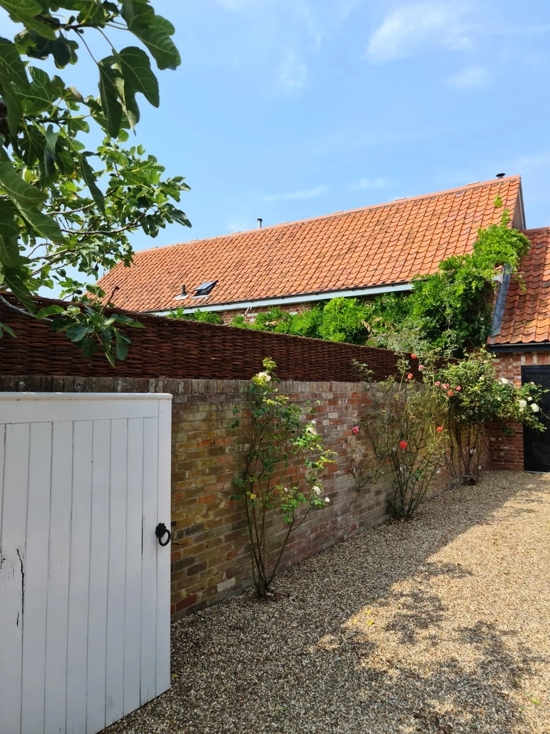 A brick wall with rose bushes growing along it, a white garden shed door, a gravel pathway, a house with a red tiled roof, and a blue sky with some clouds.