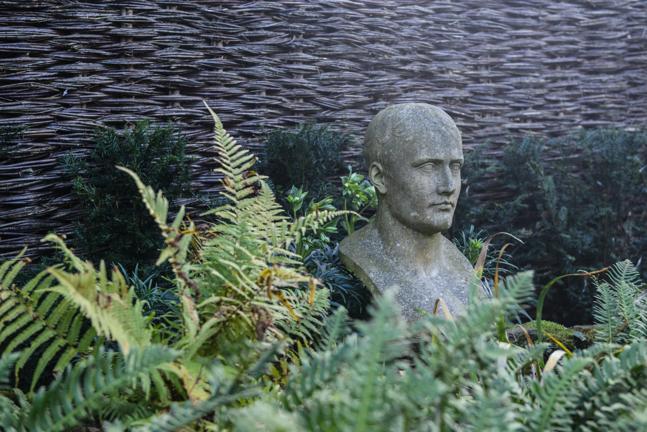 Stone bust of a man surrounded by green plants and ferns in front of a woven outdoor fence.
