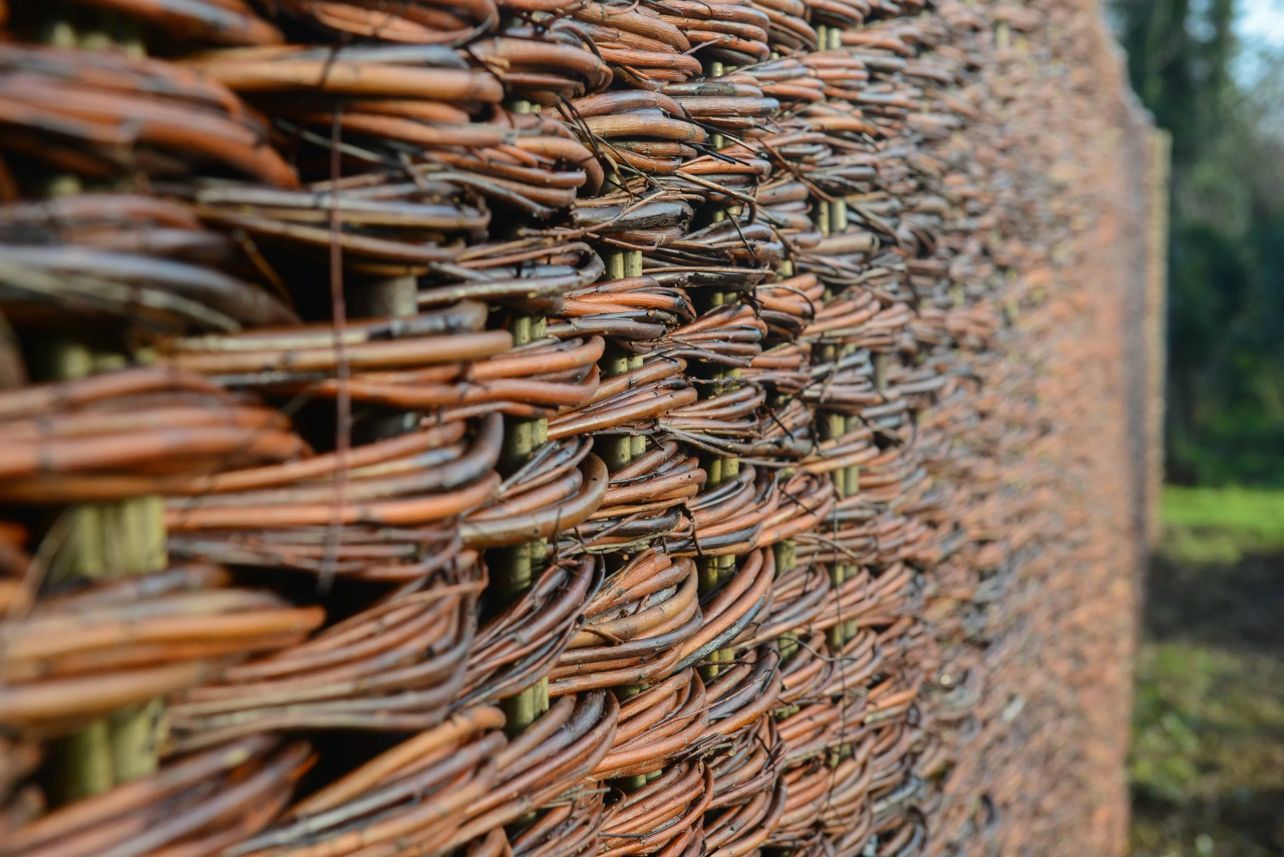 Close-up of a woven outdoor fence made of intertwined brown twigs or branches.