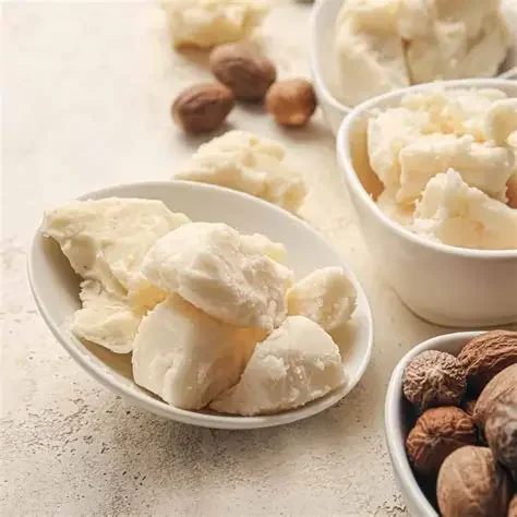 Bowl of shea butter cut into chunks on a table, with shea nuts.