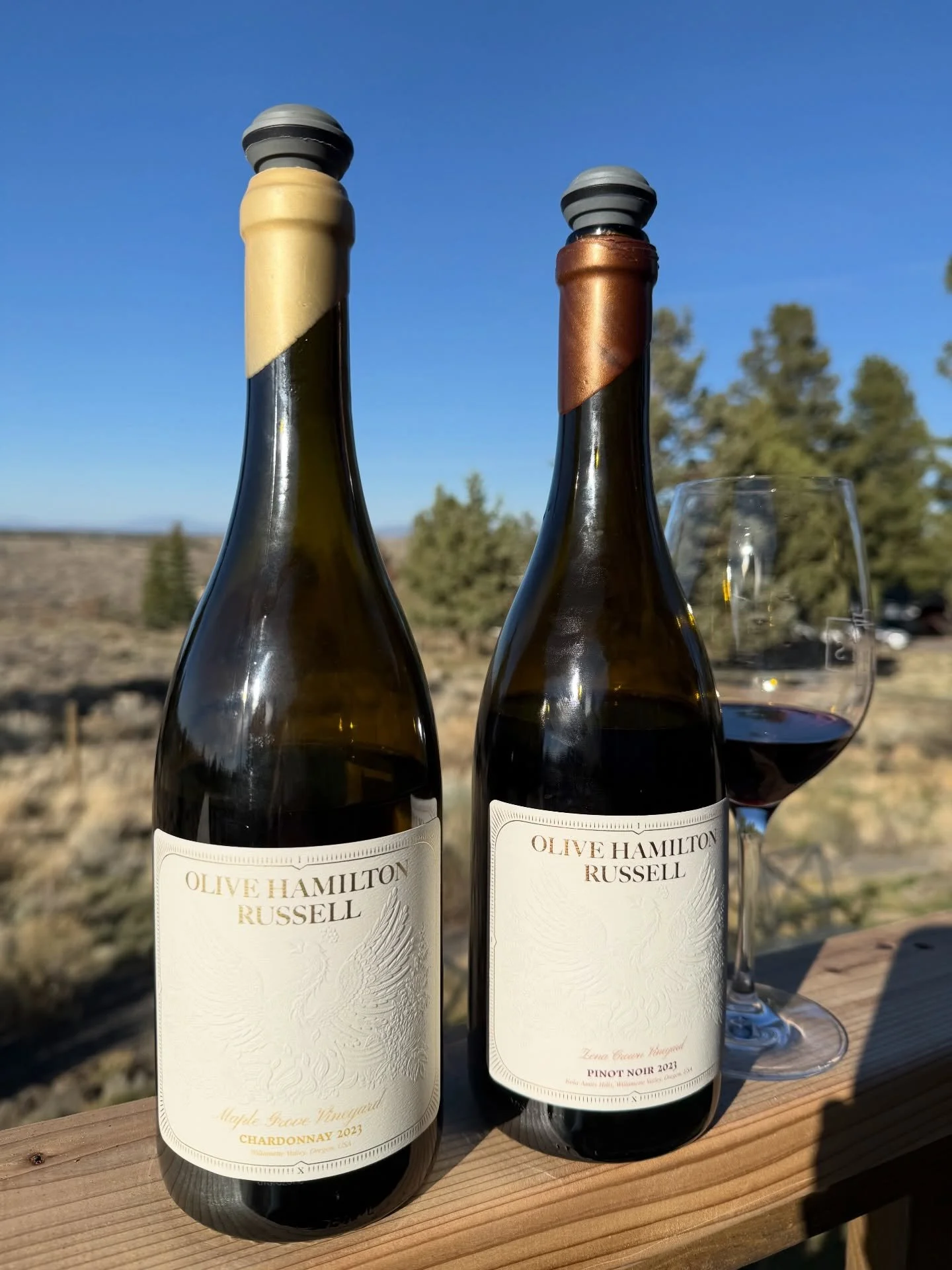 Beautiful day tasting the new 2023s from @olive_hamilton_russell ☀️🕶️
Maple Grove Chardonnay and Zena Crown Pinot Noir.  Both gorgeous 🤩