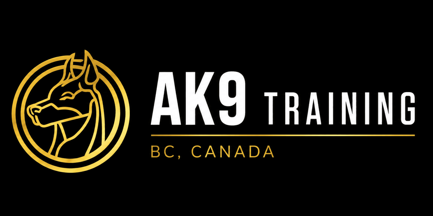 AK9 TRAINING
