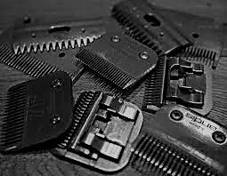 Clipper blades