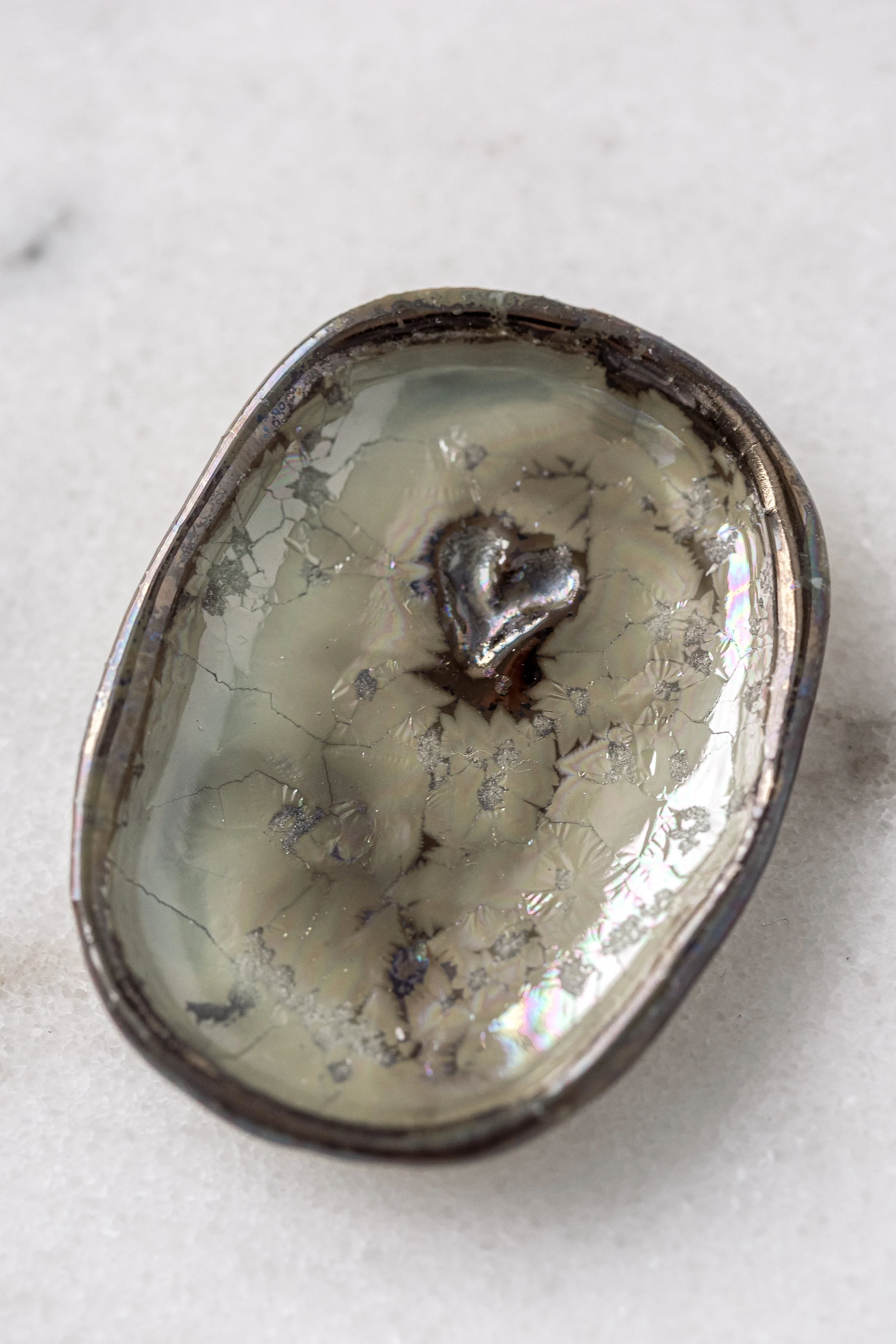 NOTE_RingDishes610White__-192.jpg