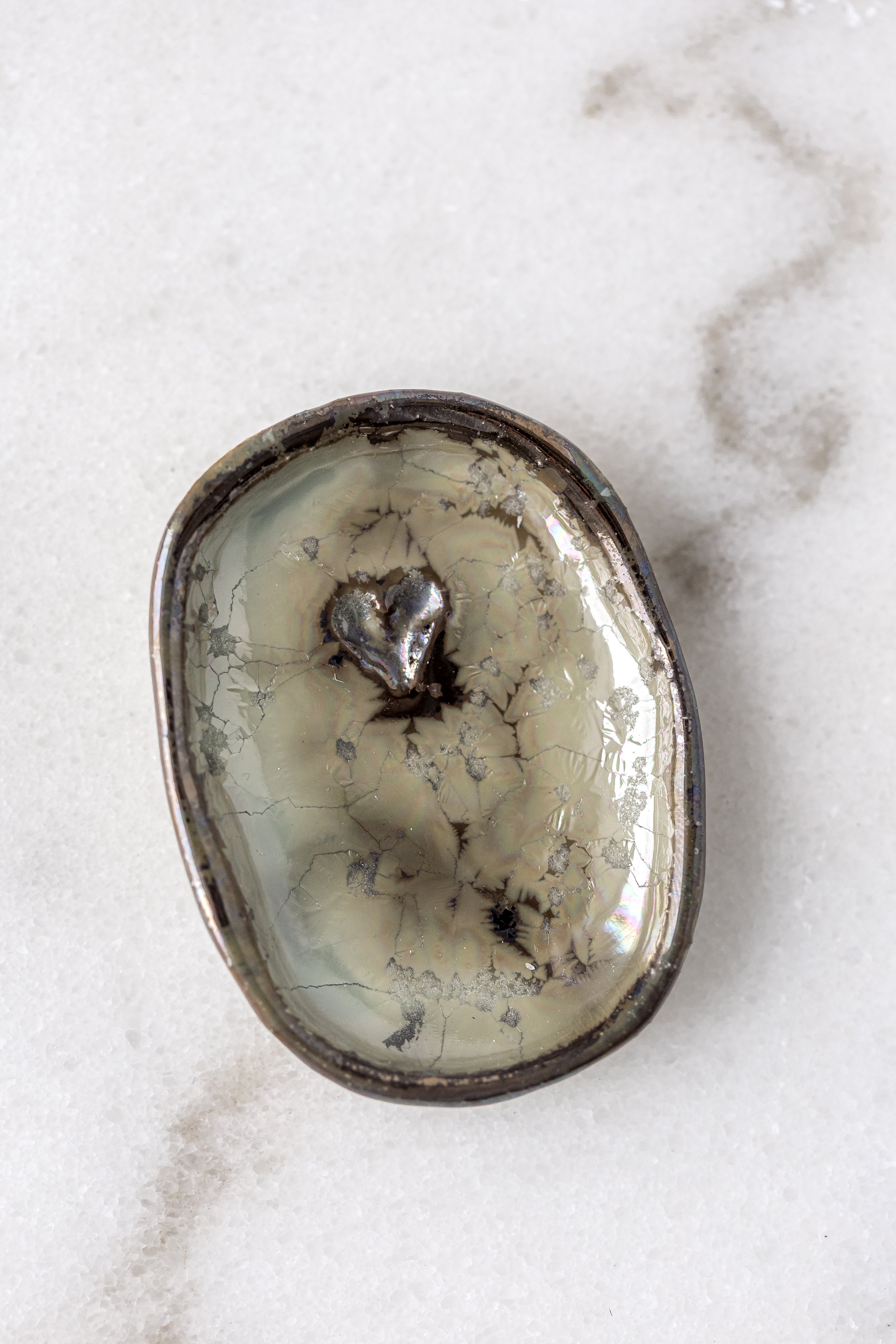 NOTE_RingDishes610White__-188.jpg
