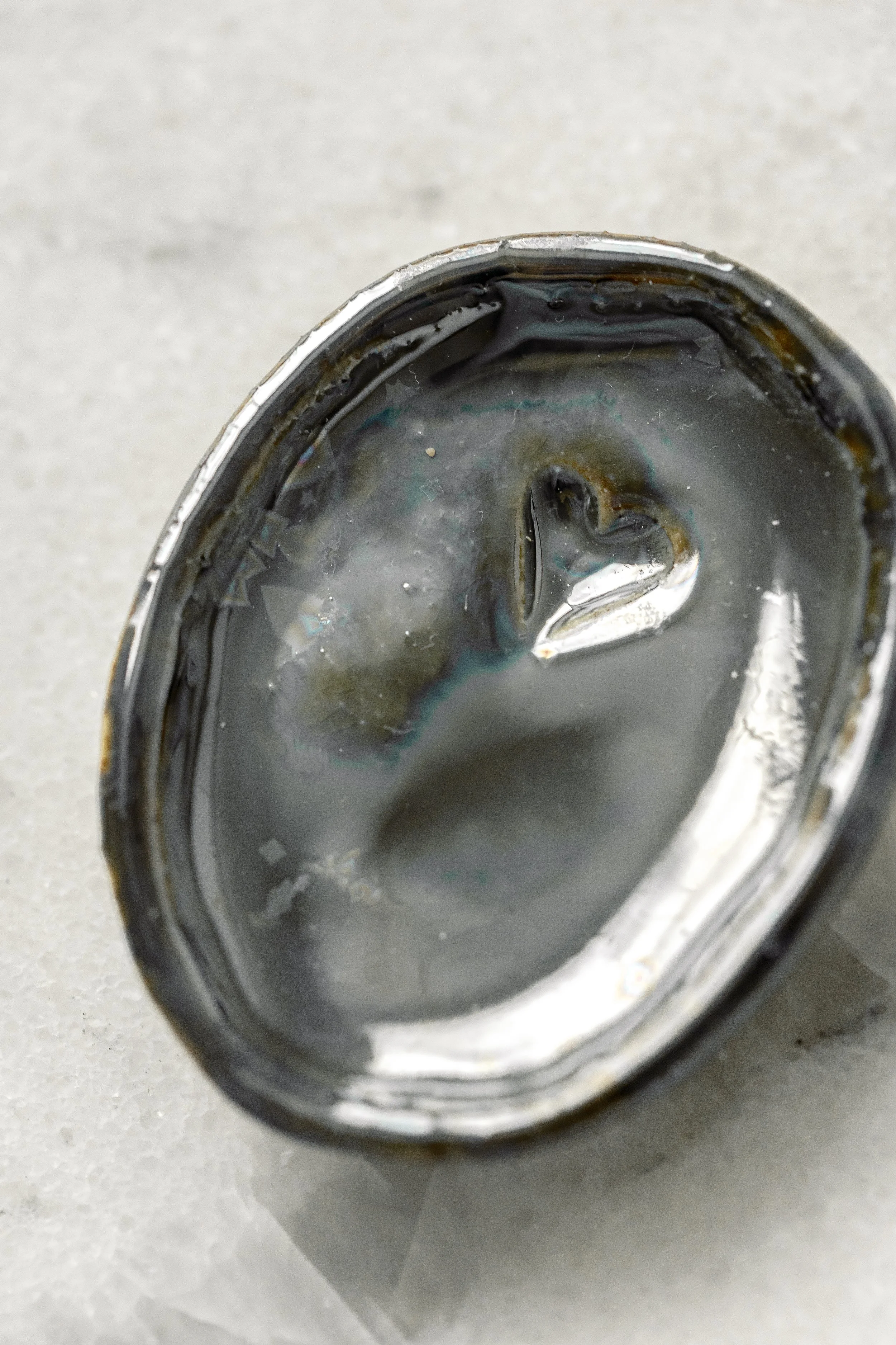 NOTE_RingDishes610White__-199.jpg