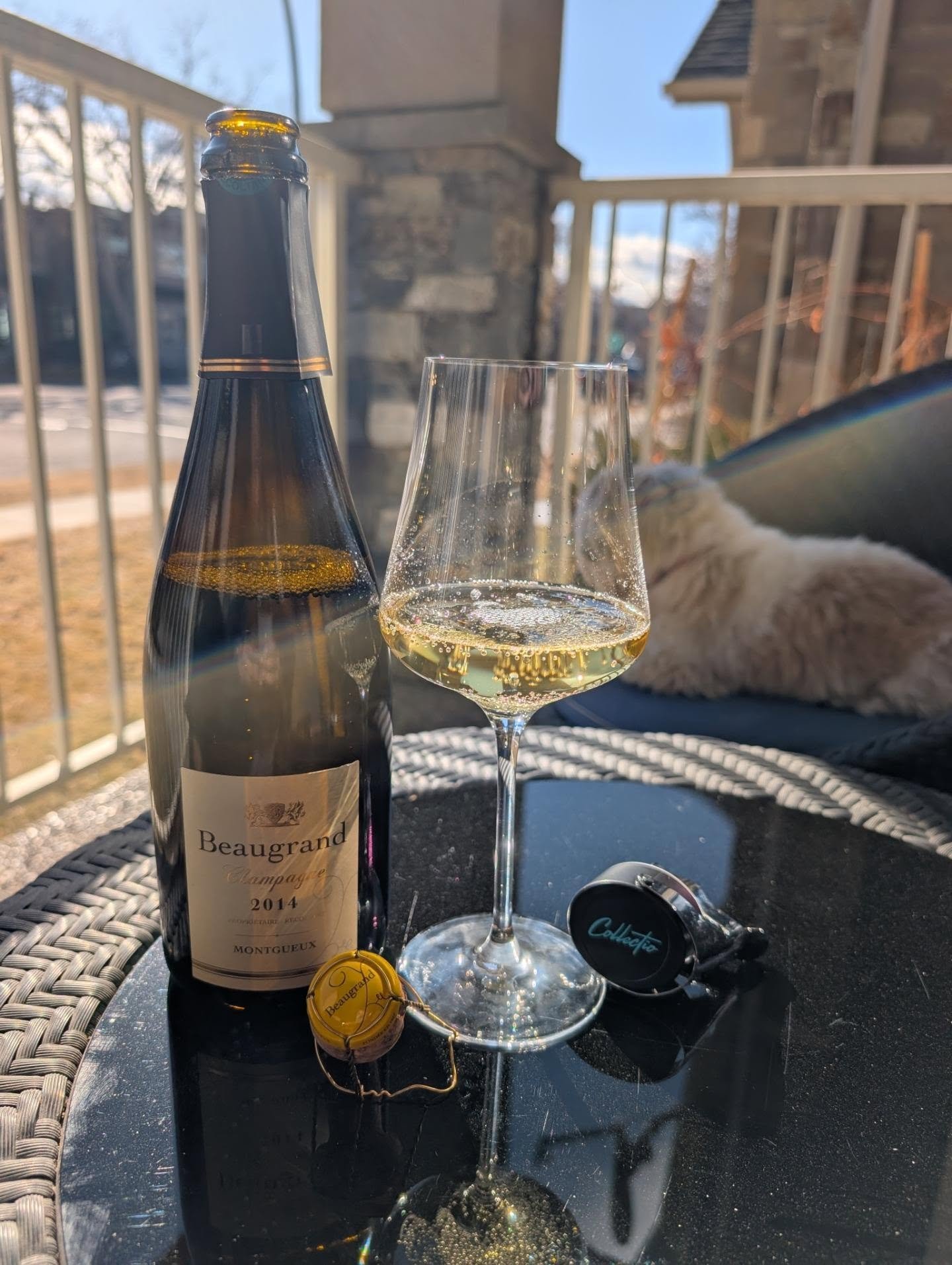 Beautiful Sunny Day and thinking about my friend Helene from  @helene_beaugrand_champagne ! What an amazing Champagne from Montgueux..Cheers Helene!

#montgueuxchampagne #champagne #blancdeblancs