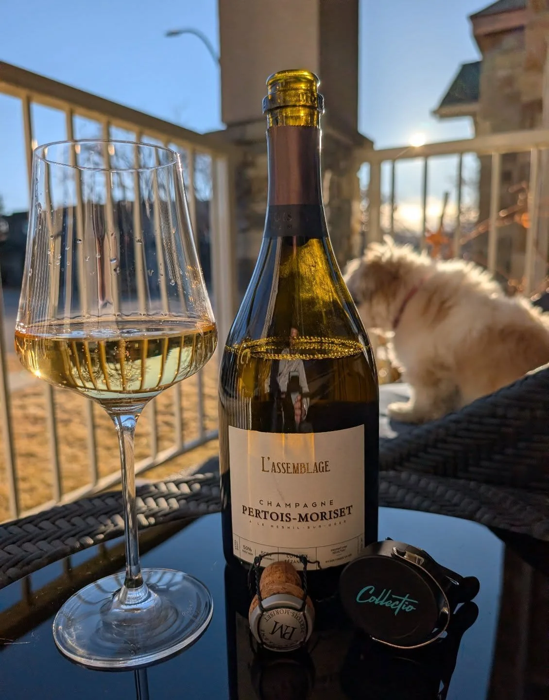 Can't think of a better way to ring in Nuwruz! @champagnepertoismoriset

#champagne #lemesnilsuroger #blancdeblancs