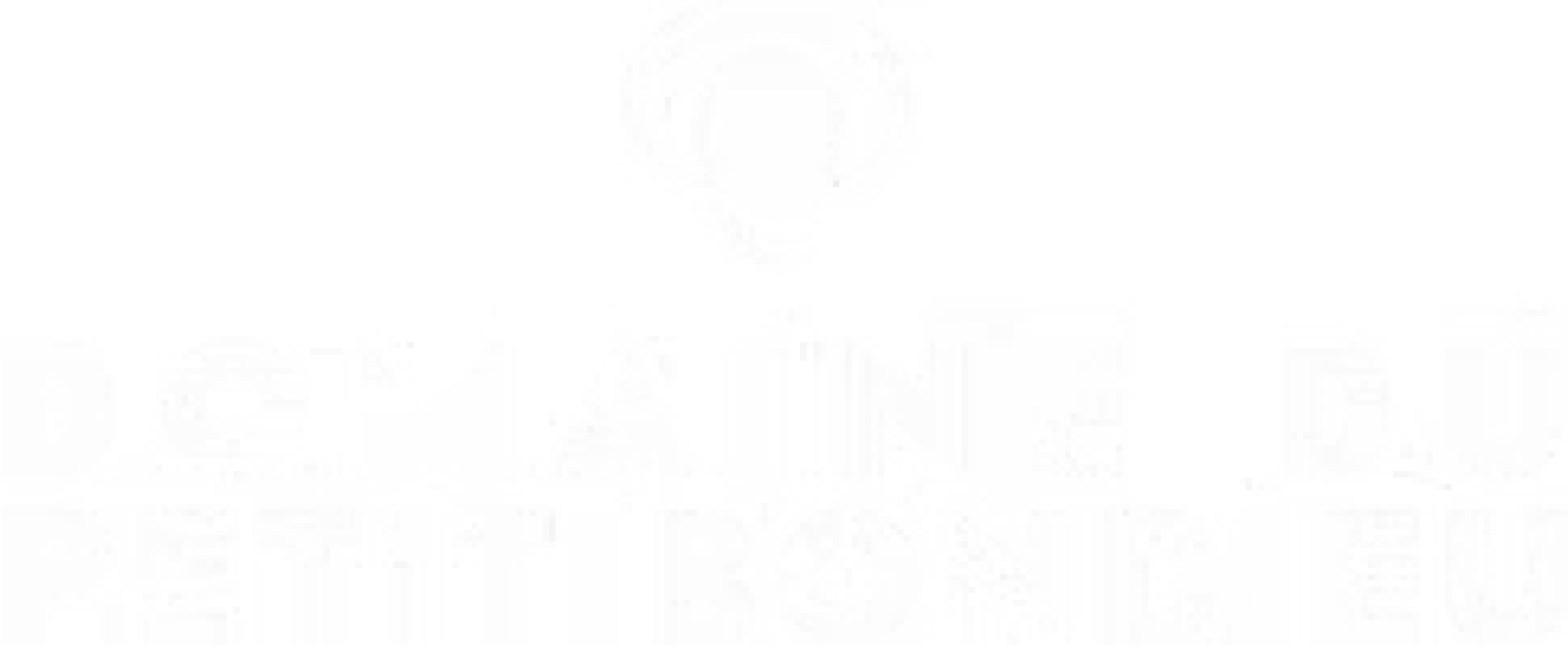 Domaine Du Petit Bondieu