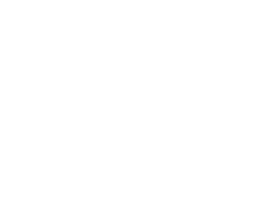 Champagne Jean Diot