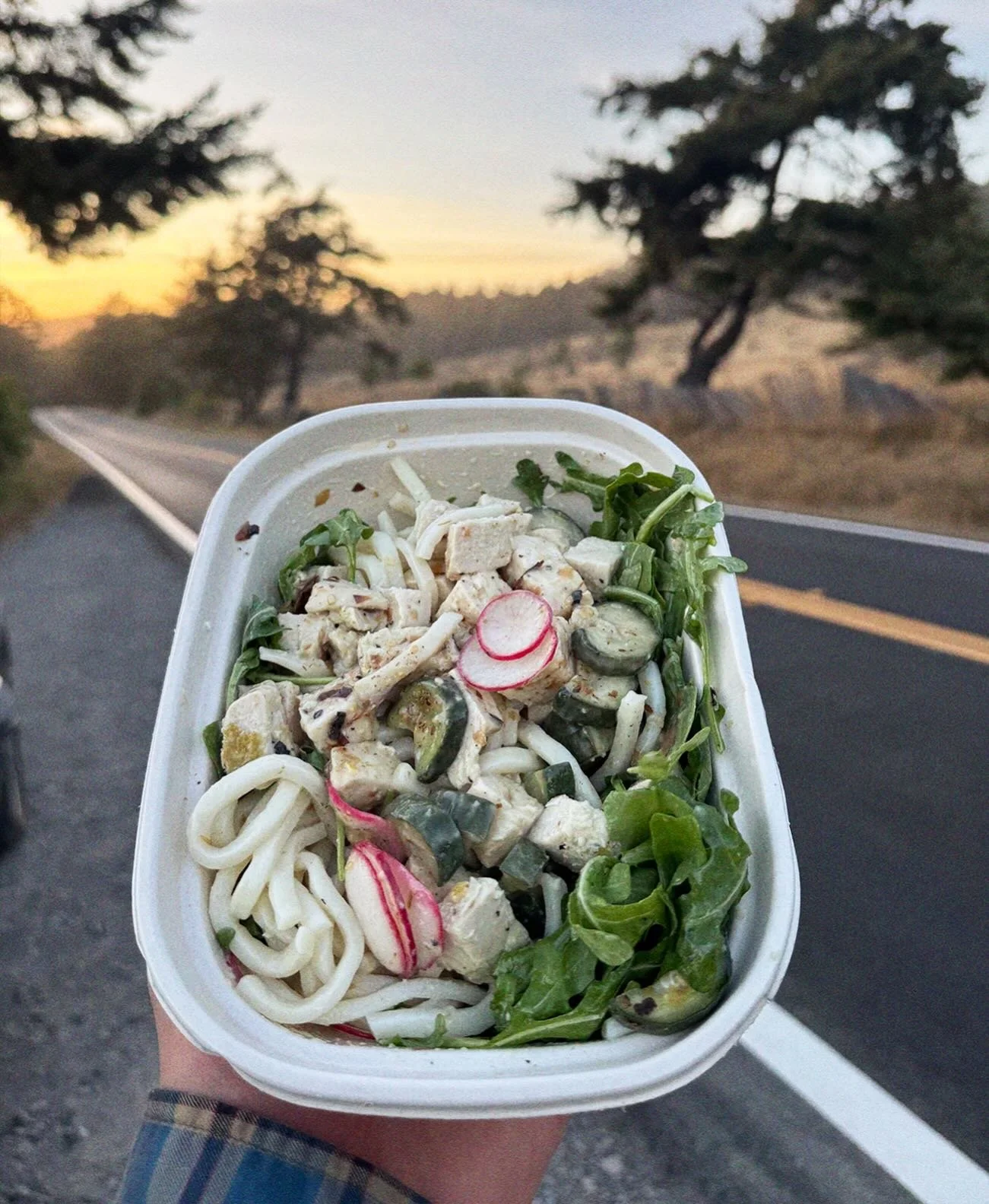 Too hot to cook? Beat the heat with this Thursday&rsquo;s bowl drop: Udon Me Dirty. Lemon-ginger udon noodles, chicken or tofu, crisp sunomono cucumber salad, protein-packed edamame, fresh arugula, and a creamy white miso dressing.

High-protein, ful
