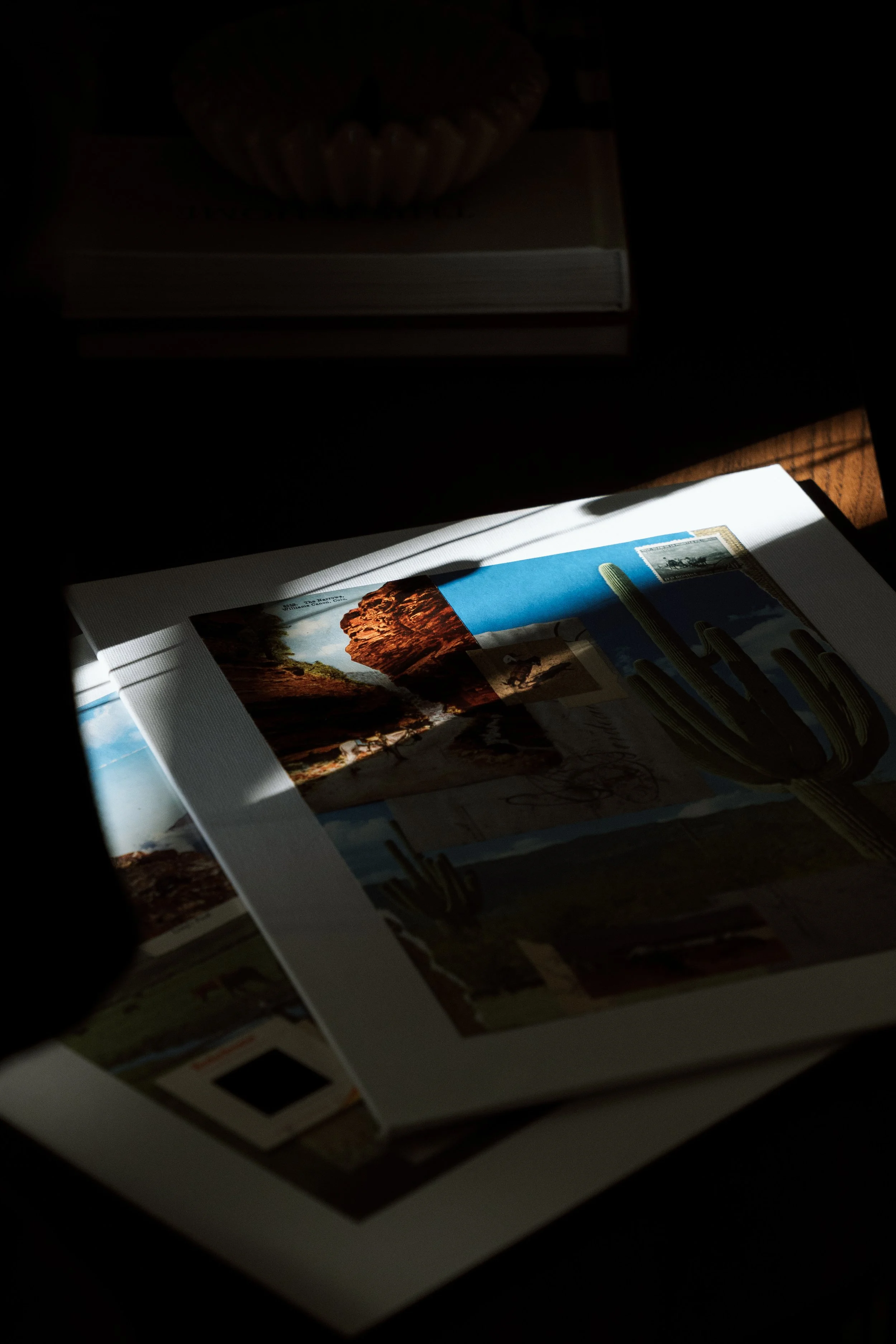 Mikkena Woodford Art - Headshots-196.jpg