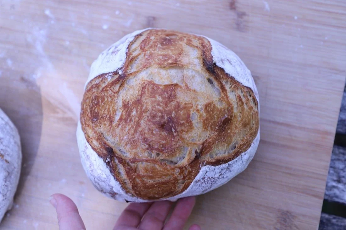 Sourdough Bread Recipe