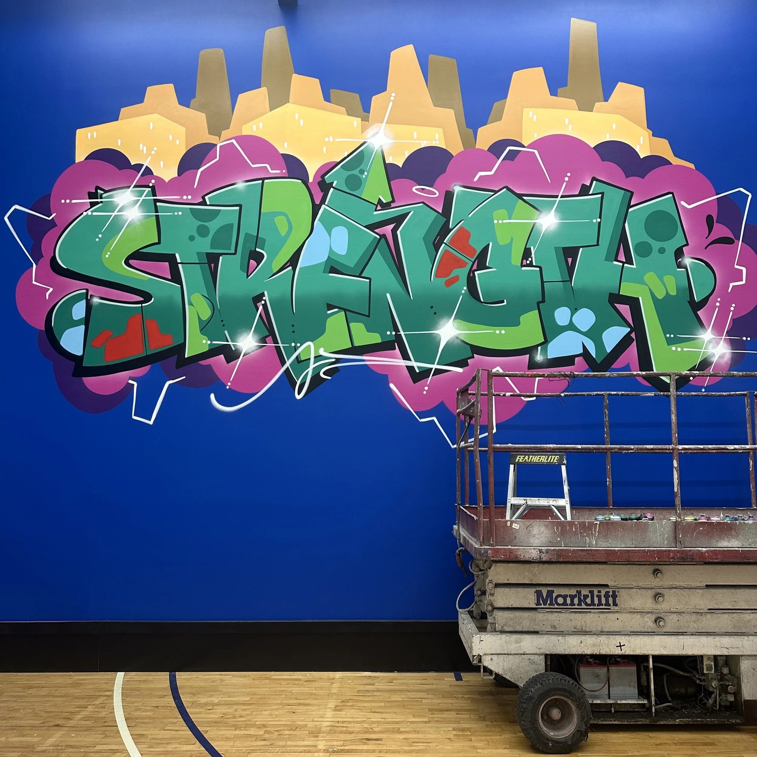 Richmond Sport and Fitness- Richmond BC- Indoor Basketball Court