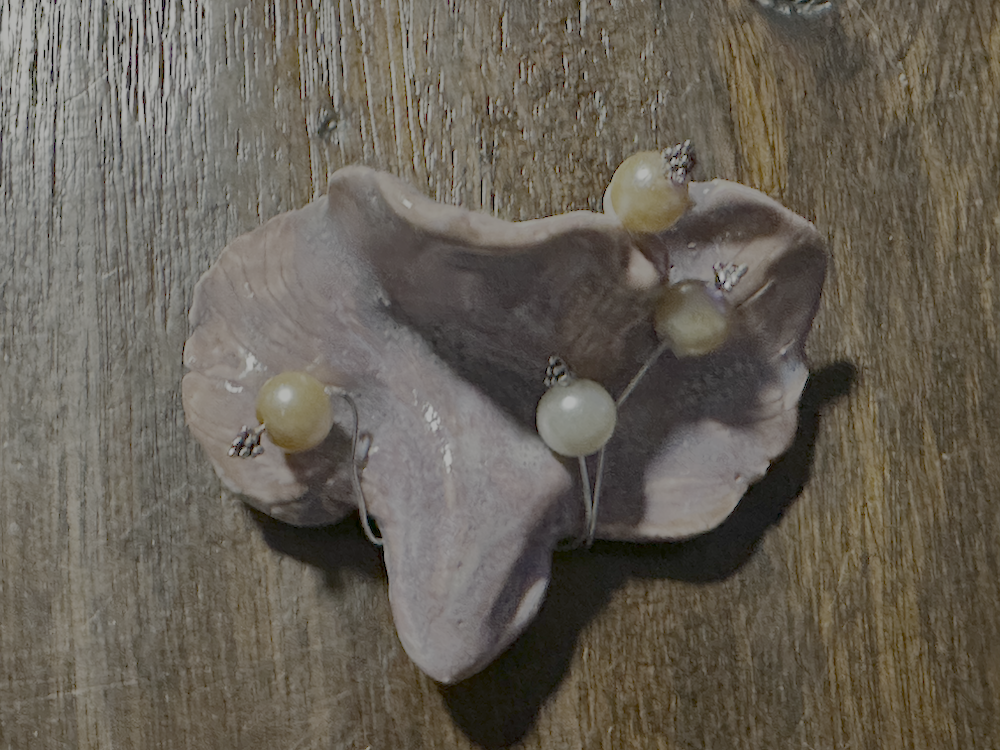 Decorative arrangement of a large book with a star-shaped jewelry piece and four pearl pins on a wooden surface.