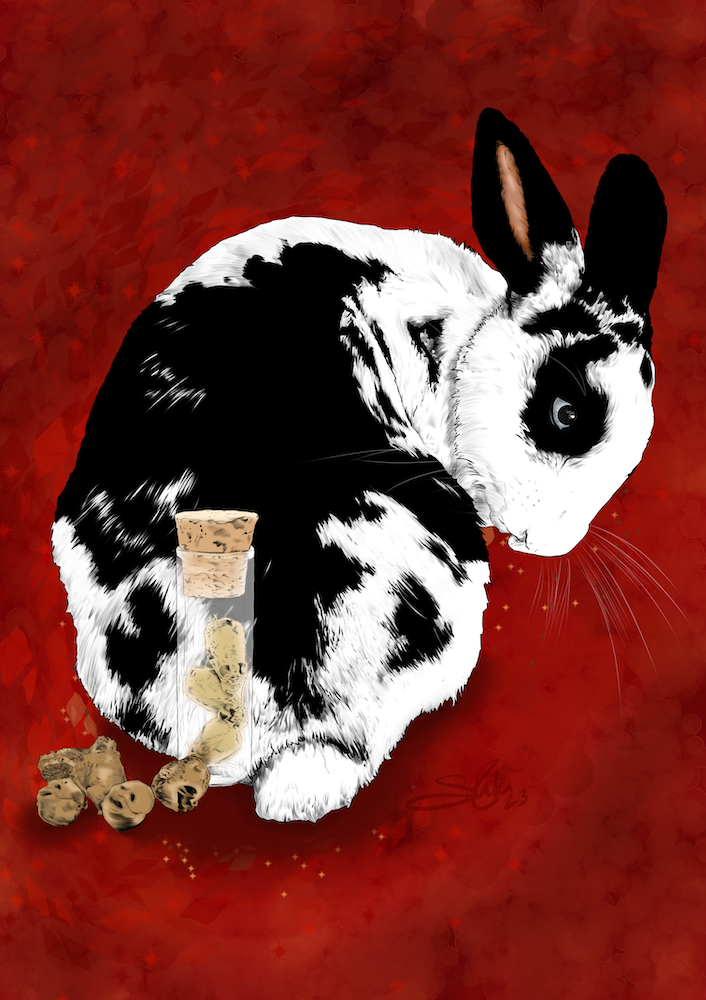 A digitally illustrated black and white rabbit with a red background, with a small jar of peanut butter and some cookies in front of it.
