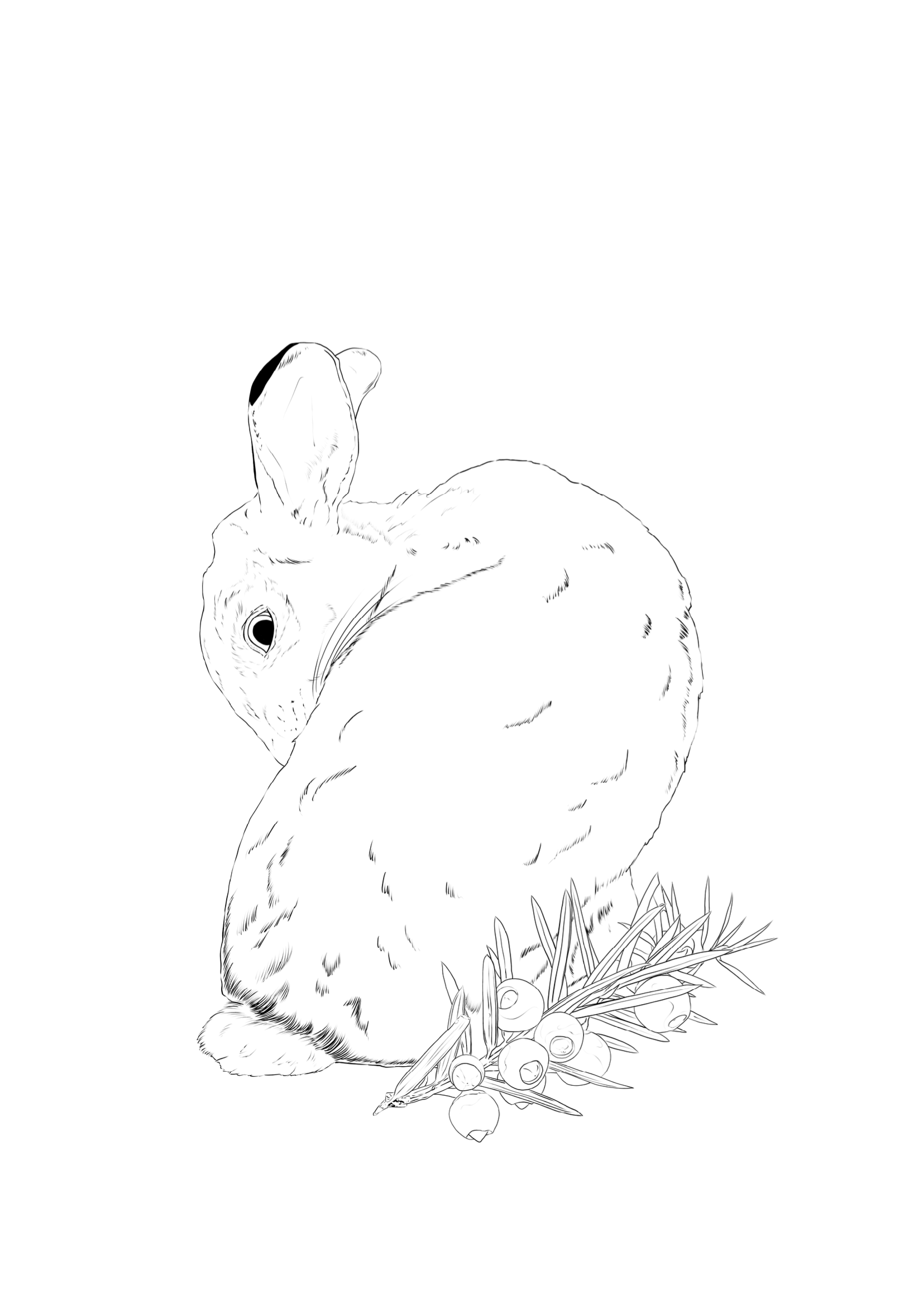 Calamity and Yew