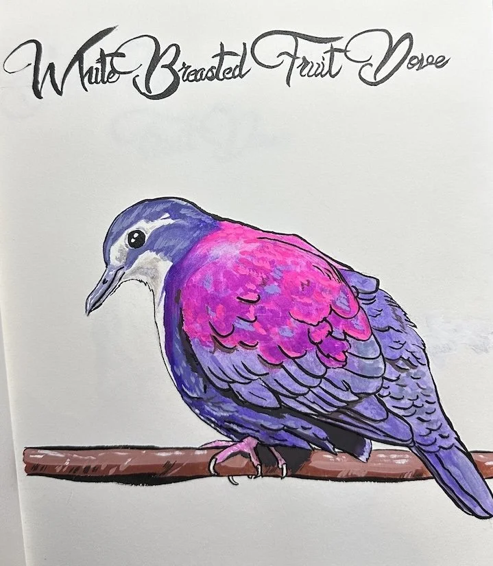 sketch book work