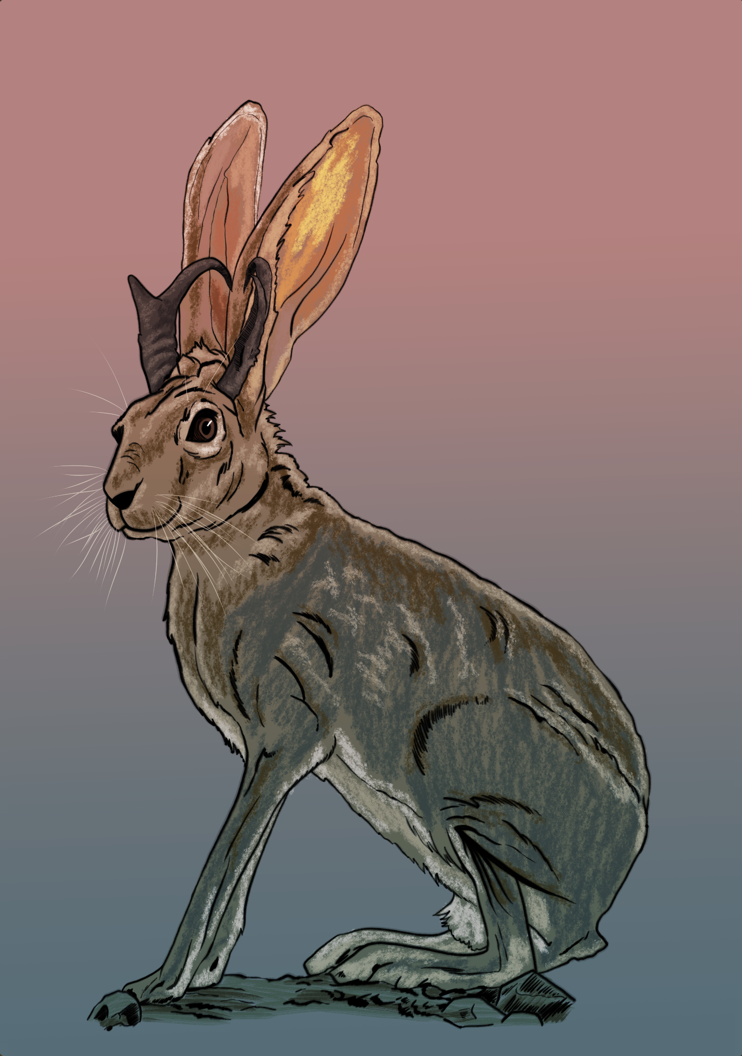 Digital illustration of a kangaroo with large ears, sitting on rocks against a pink and gray gradient background.