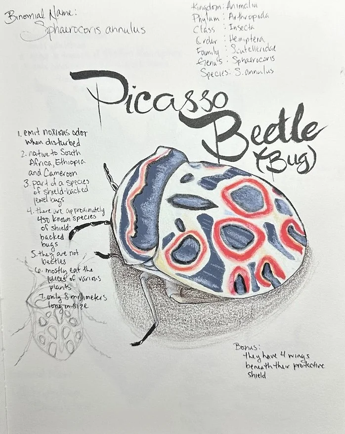 sketch book work