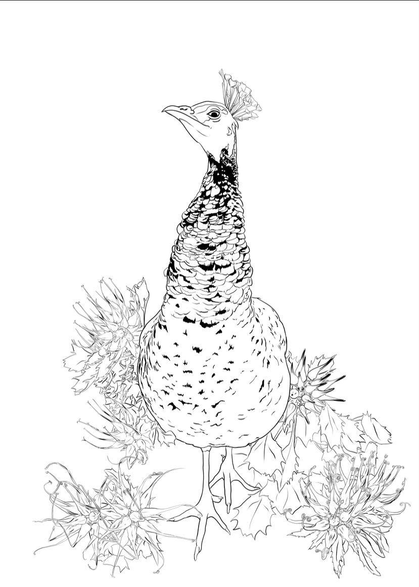 Line drawing of a bird standing on the ground, surrounded by plants and flowers.