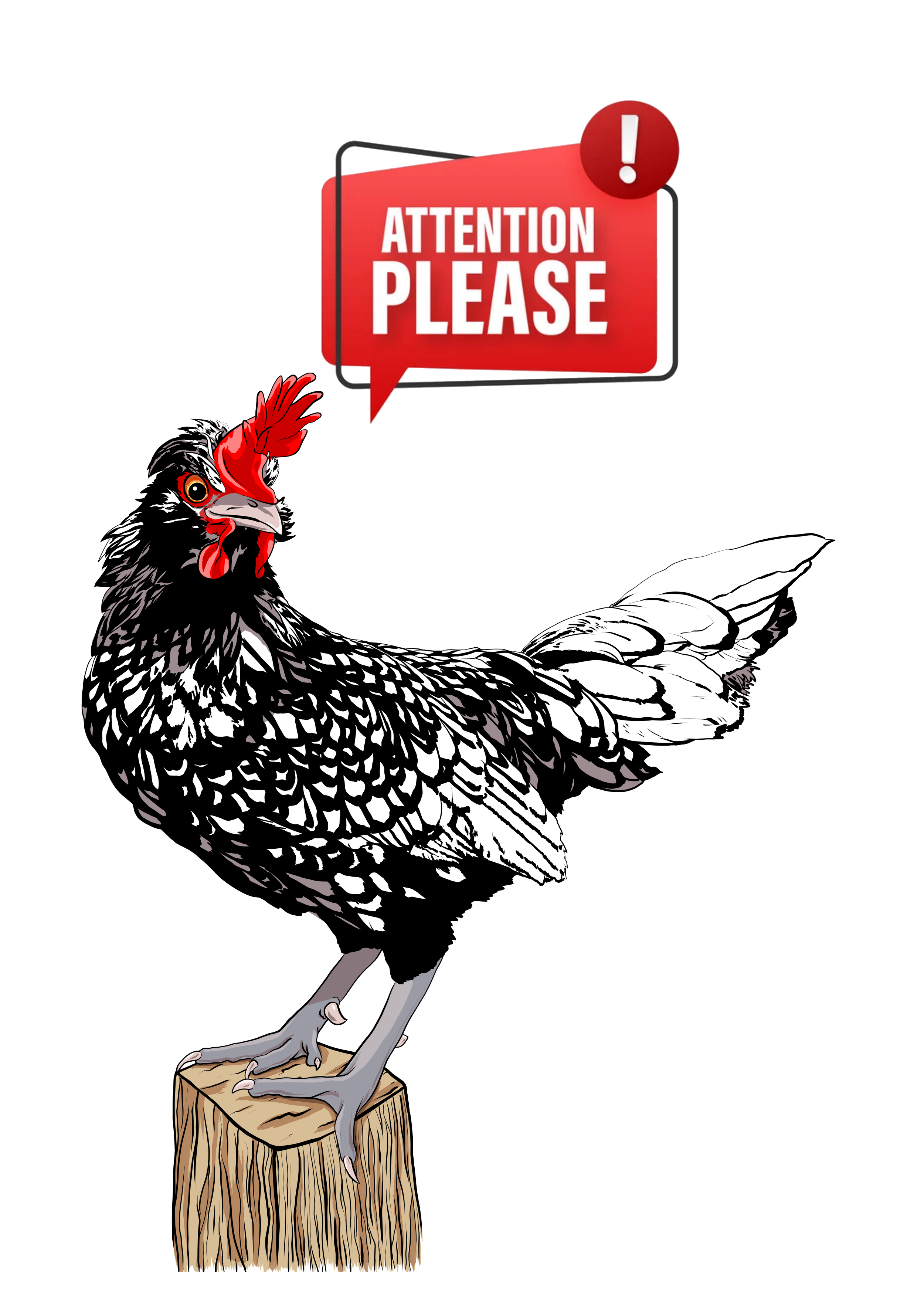 Illustration of a chicken standing on a wooden stump with a speech bubble that says "Attention Please" and an exclamation mark.