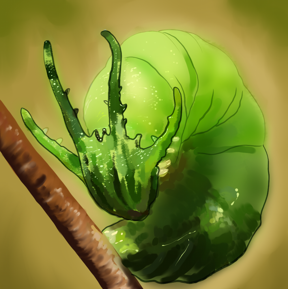 A close-up illustration of a green caterpillar on a brown branch.