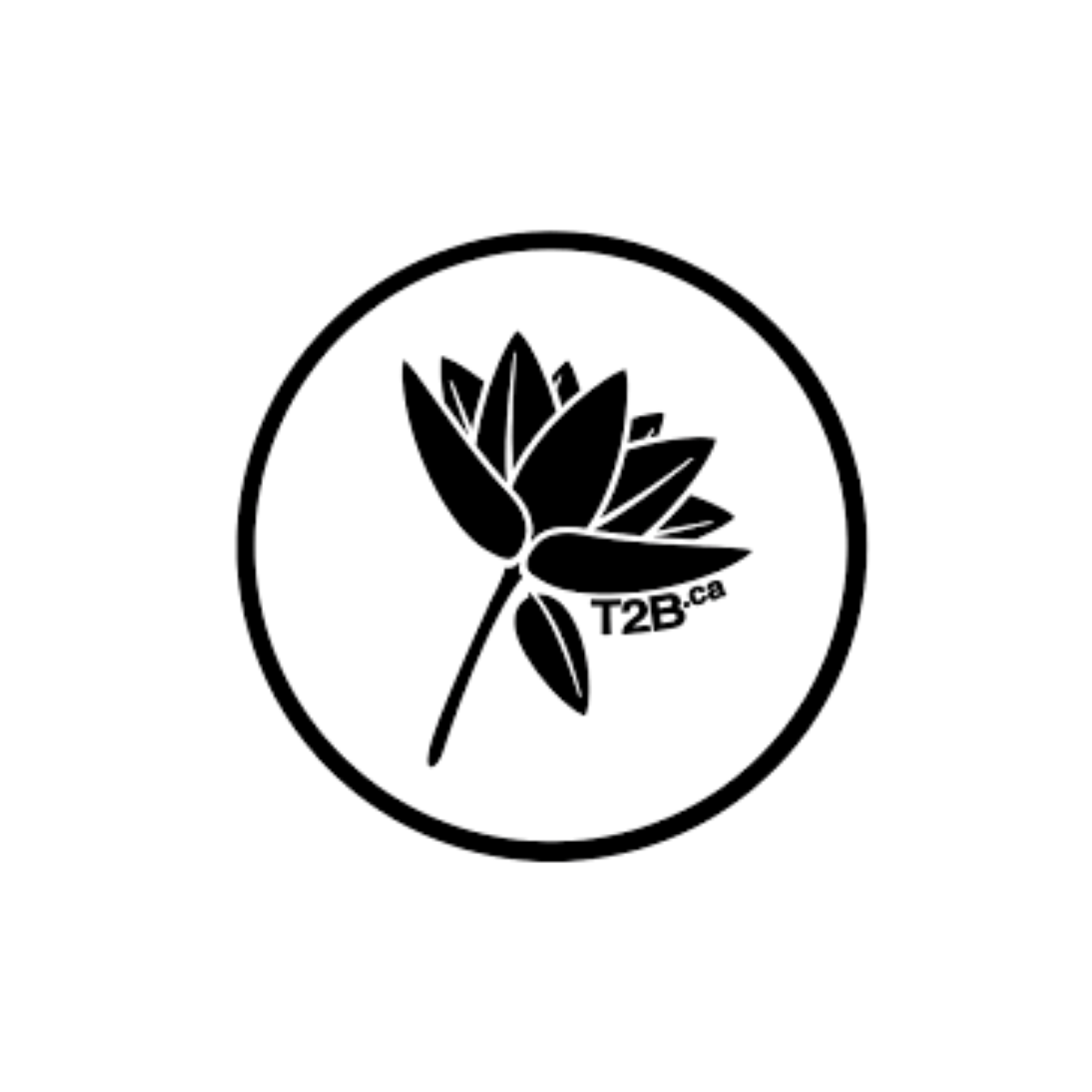 14.png