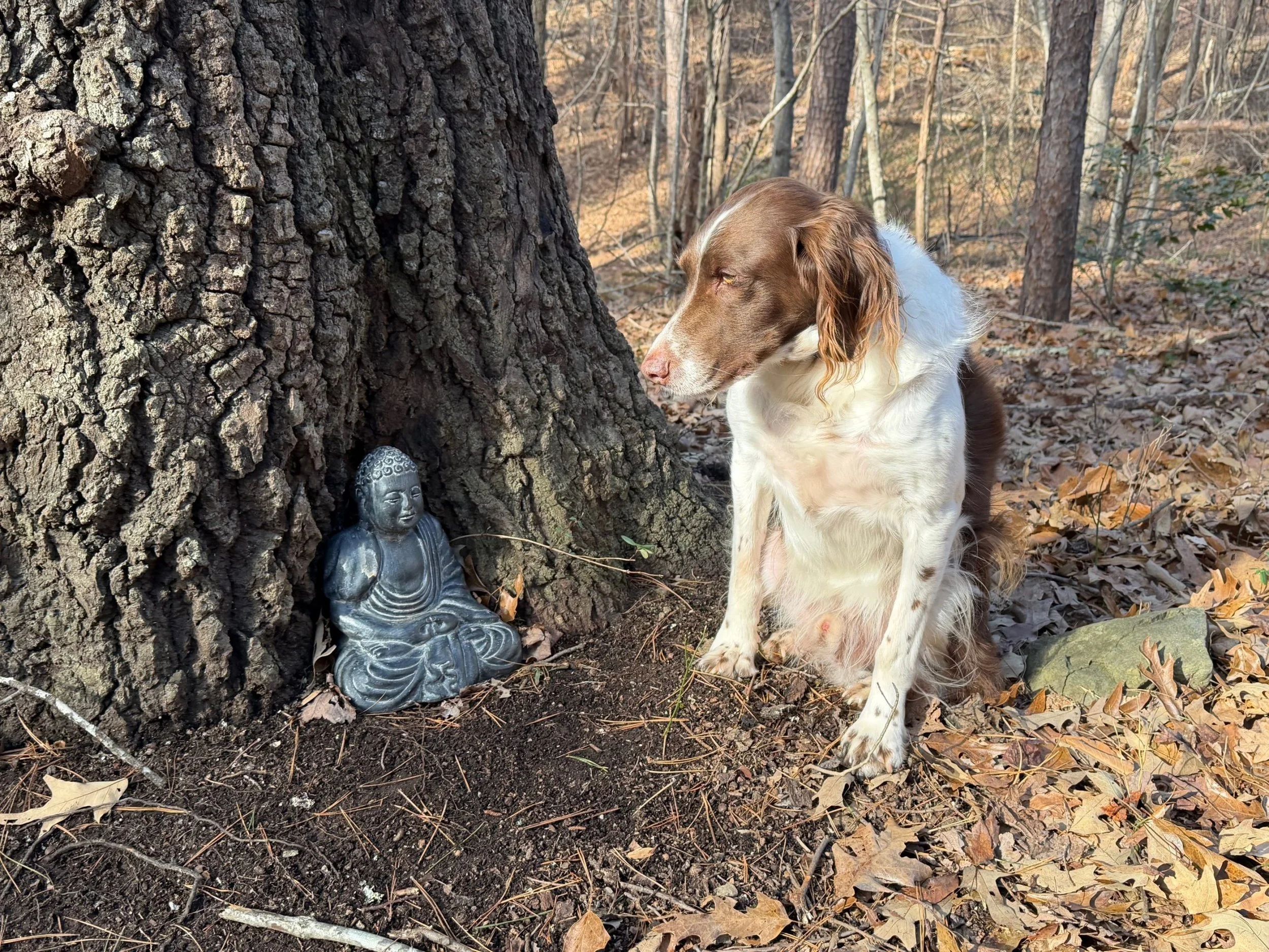 Between Intention and Impact