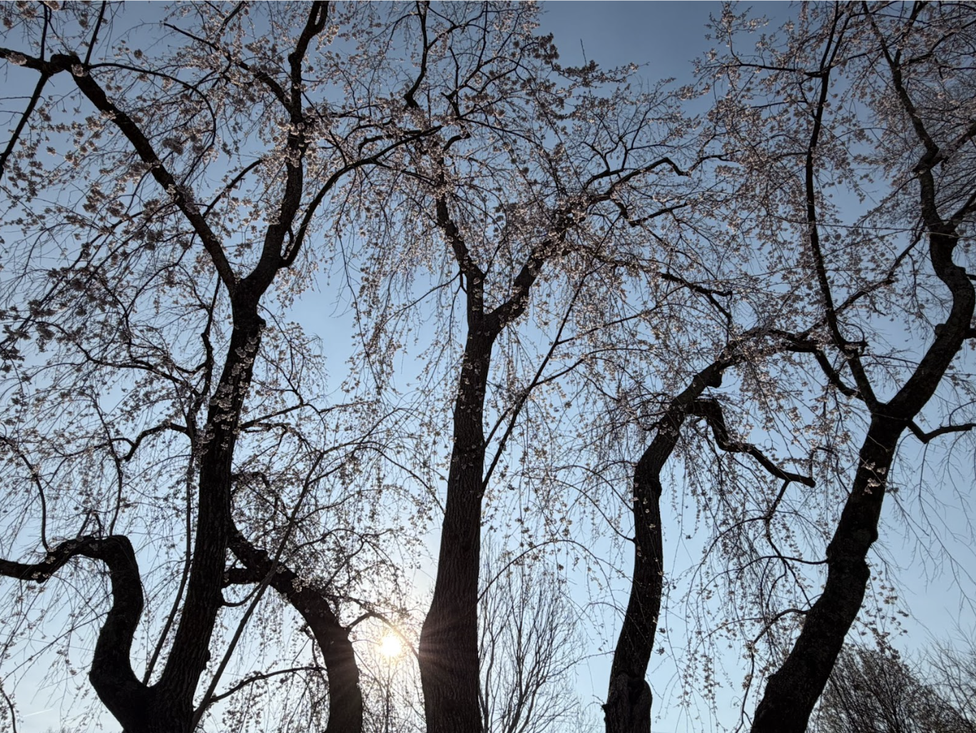 We Talked About Death, and It Brought Us Closer to Life