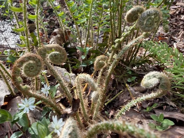 The Power of Thinking Less