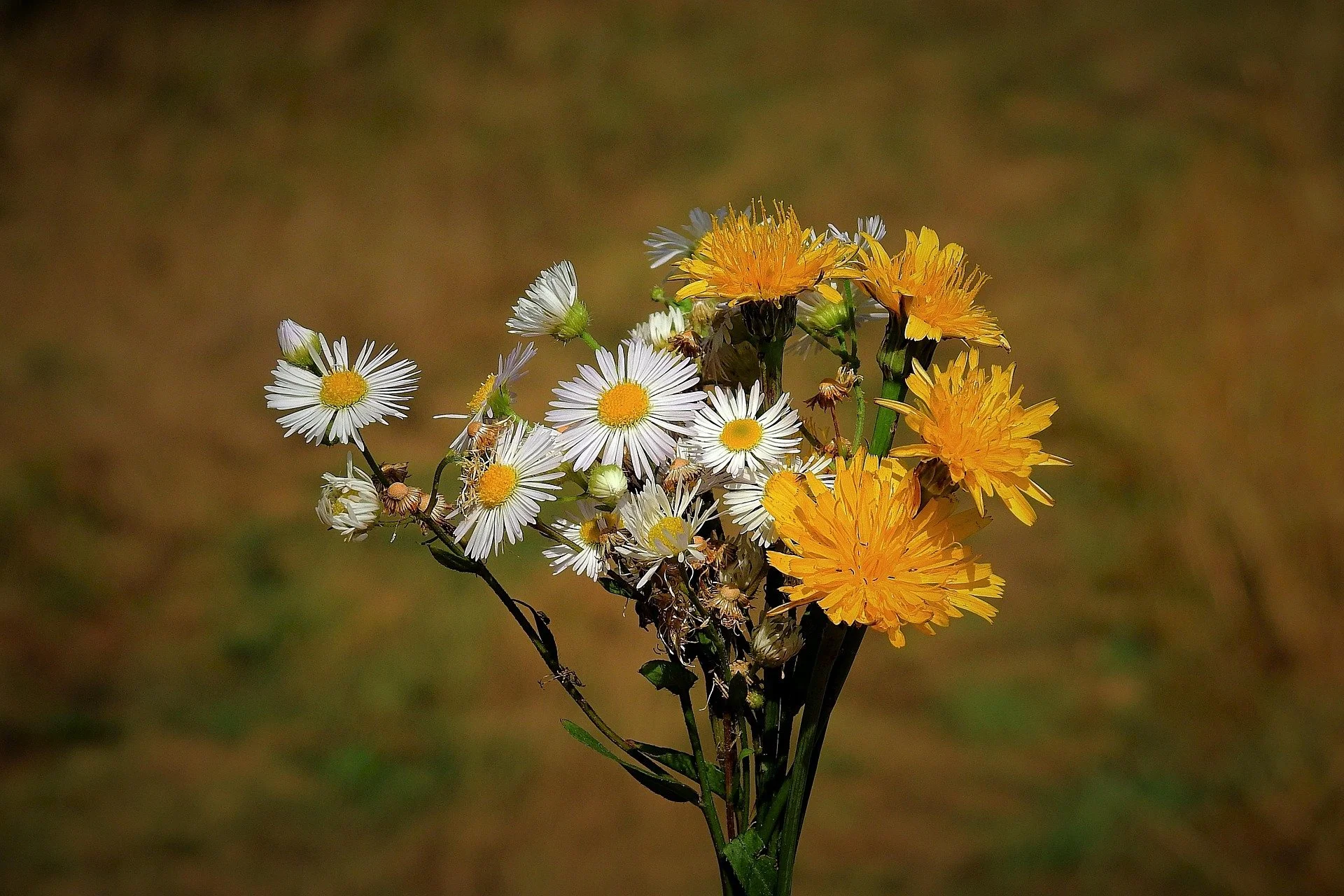 What Does an End-of-Life Doula Do? (And When Should You Hire One?)