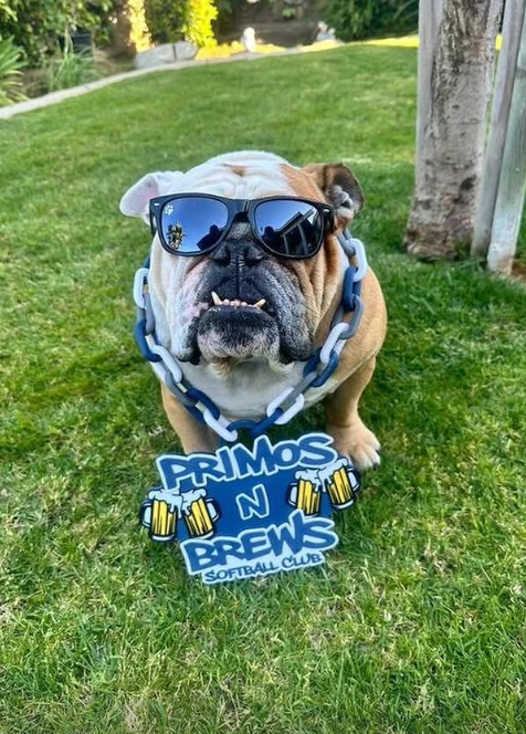 Screenshot 2026-03-05 123530.png