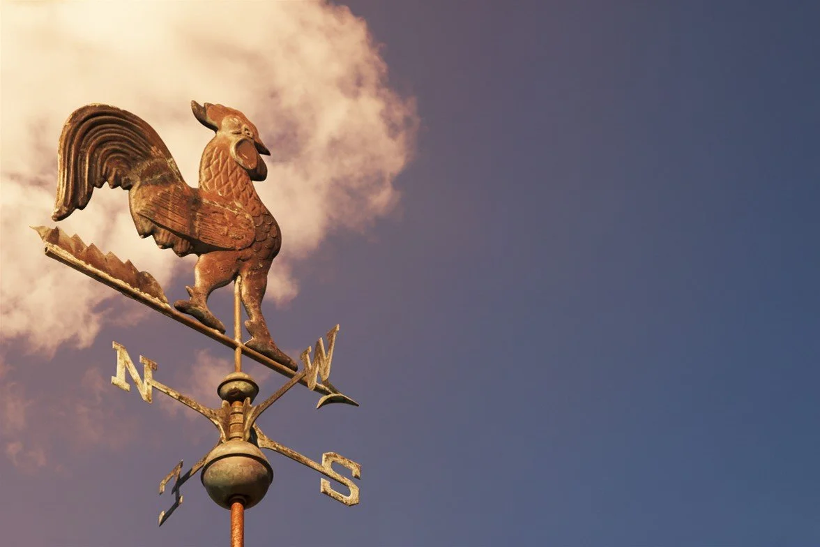 The Forecast Belongs to Marketing: Rethinking Revenue Prediction and Capital Allocation