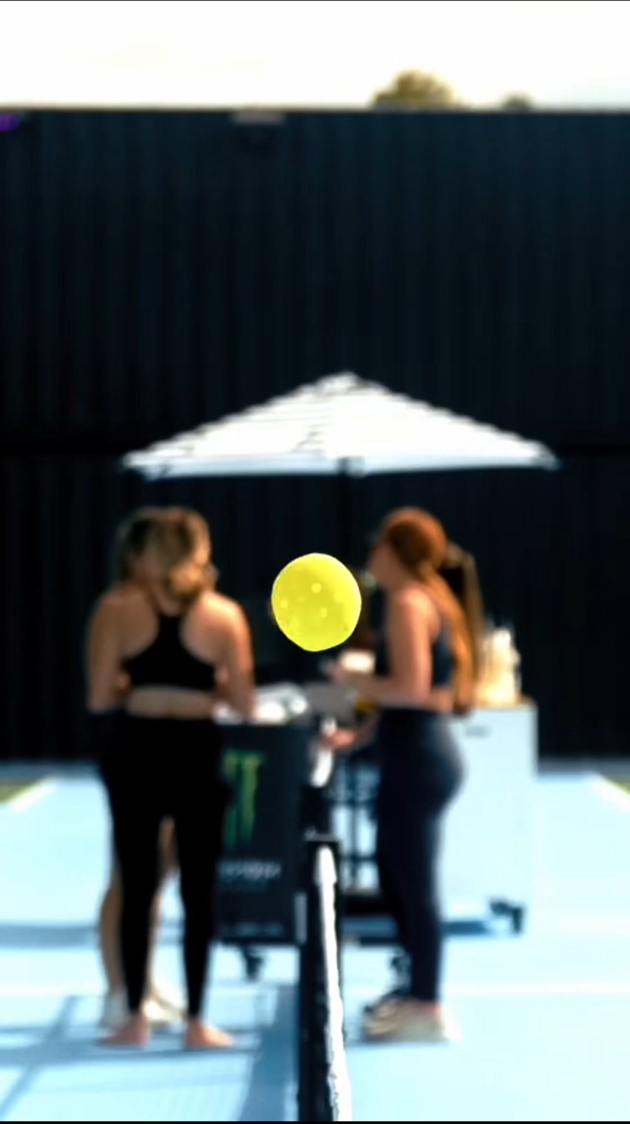 Hot Girl Pilates x Pickle