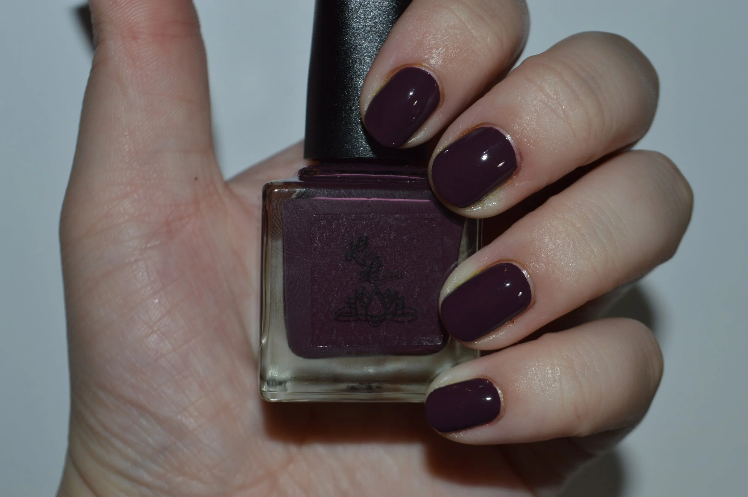 Amethyst Deceiver 1.JPG