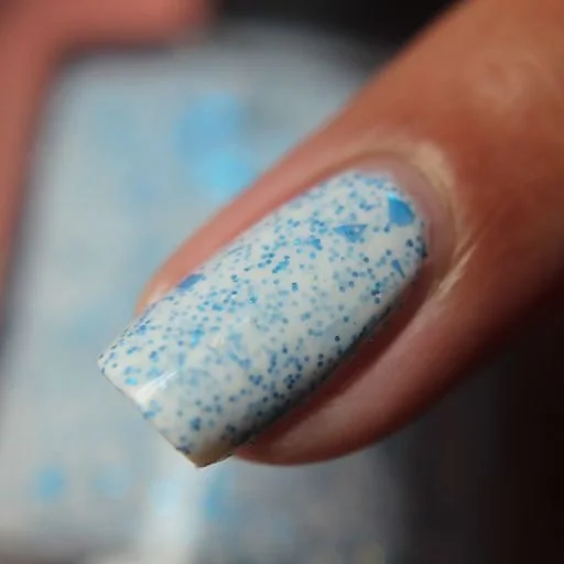 Photo Nov 23 2022, 10 47 11 AM.jpg