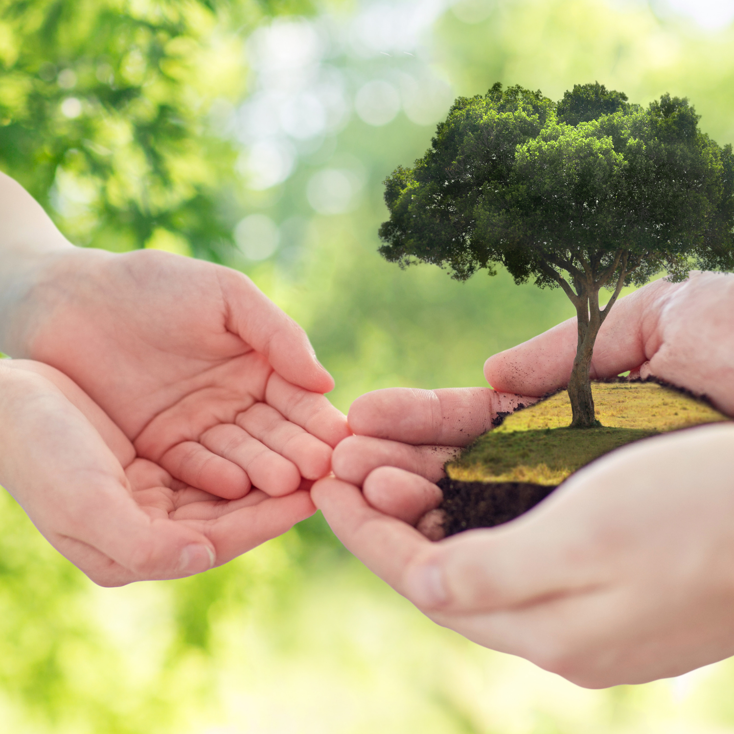 Building Your Legacy