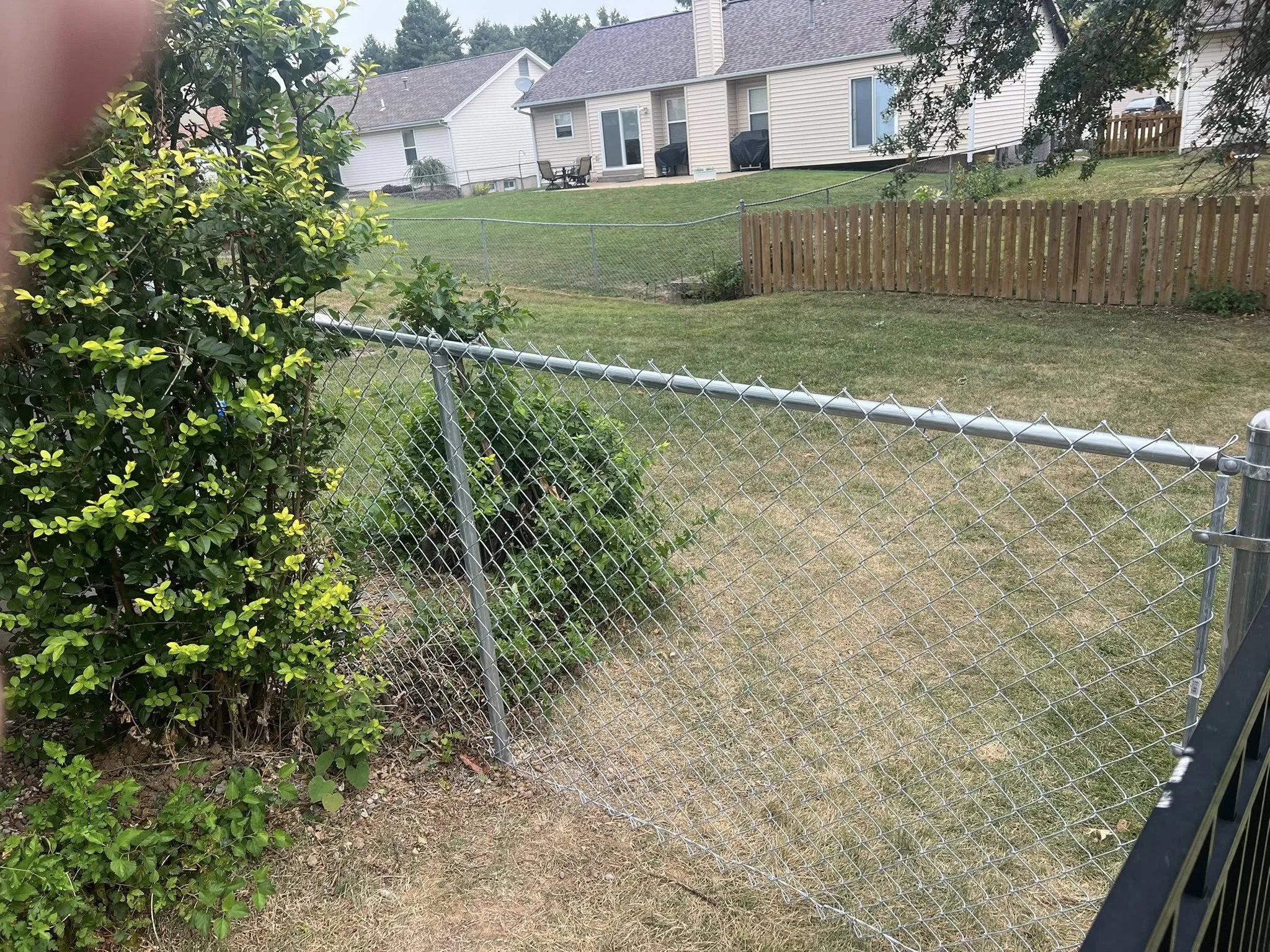 silver chain link fence in backyard