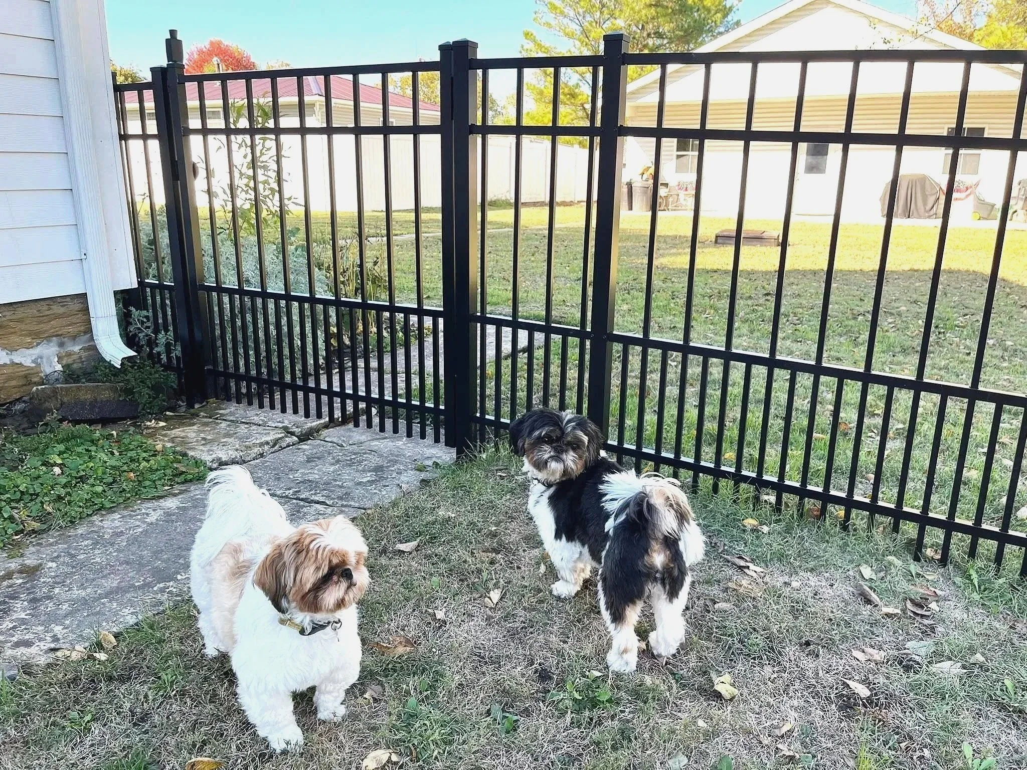 The Best Fence for Dogs in Missouri: What Actually Works